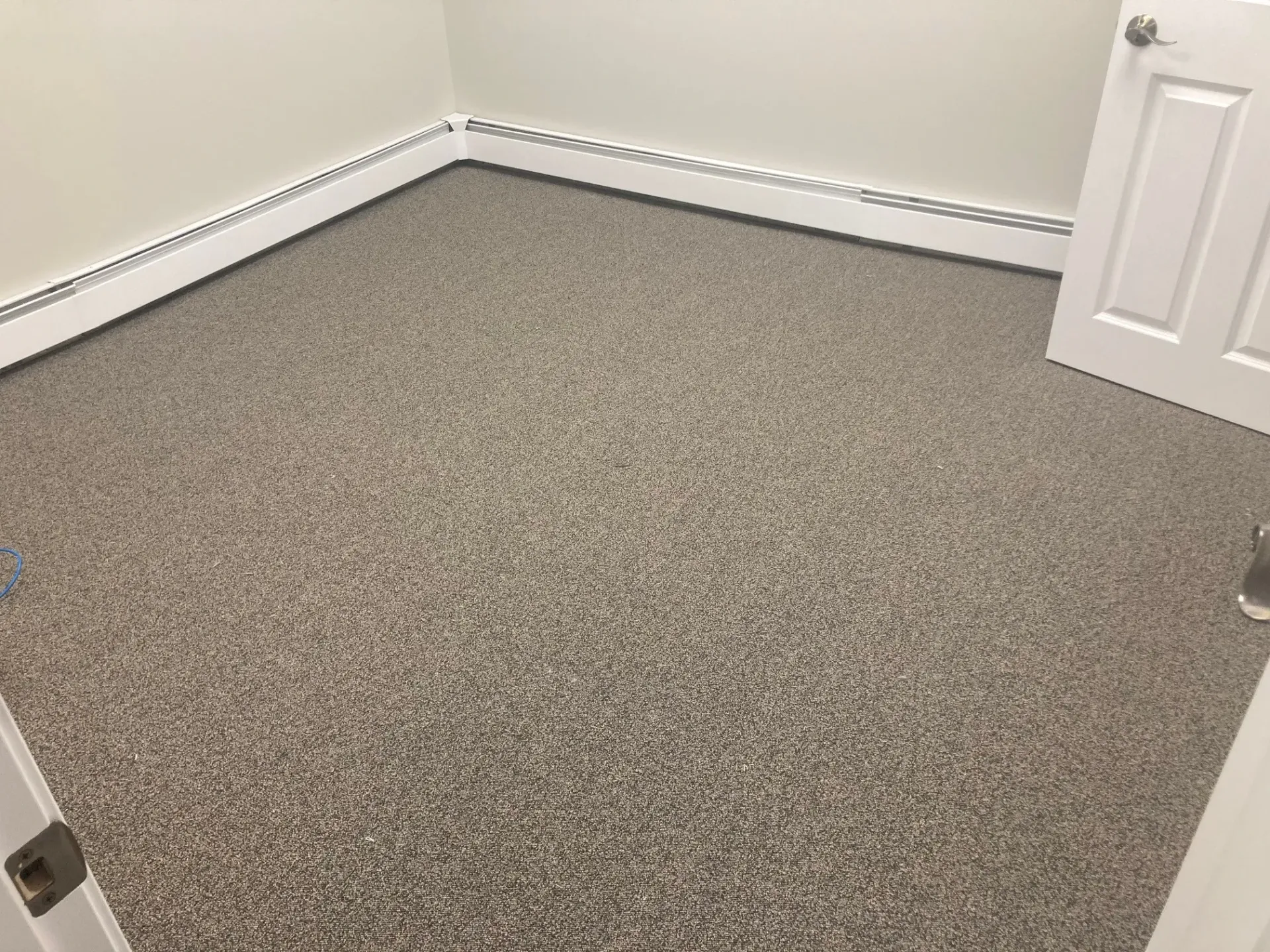 A room with a carpeted floor and a door.