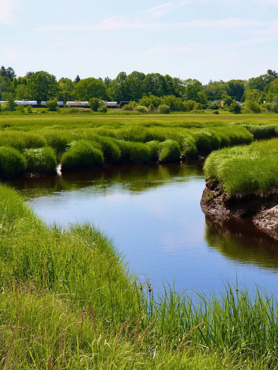 A river runs through a grassy field on a sunny day.