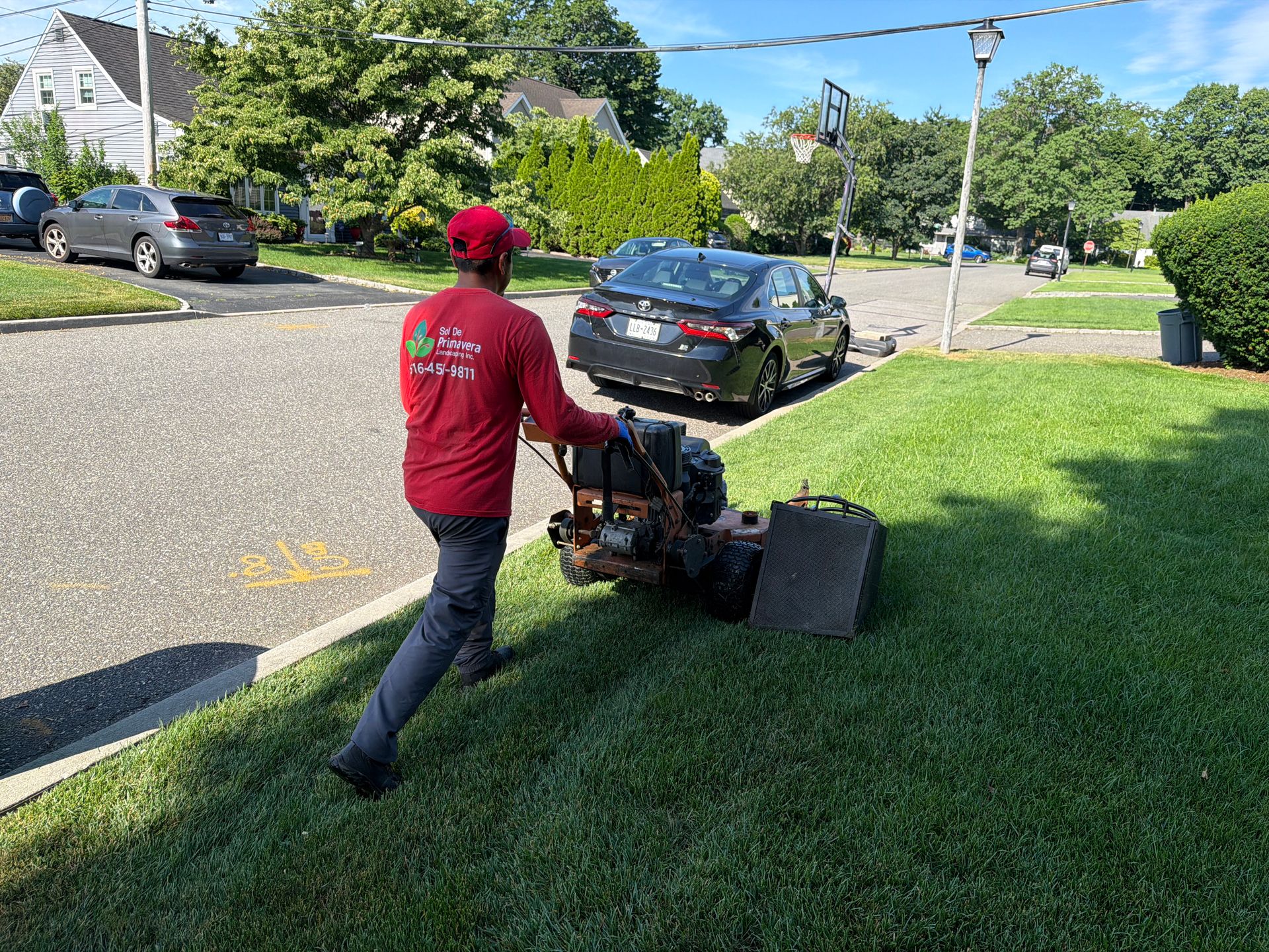 Person mowing a grassy roadside lawn beside parked cars on a sunny suburban street