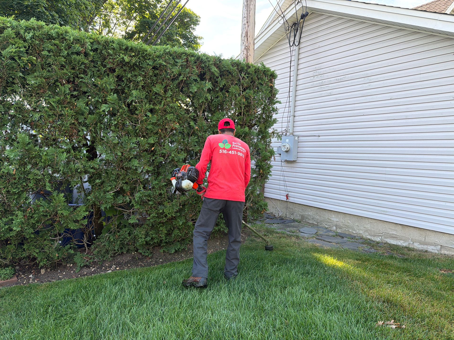 Person in red shirt using a hedge trimmer beside a large green hedge and a white house.