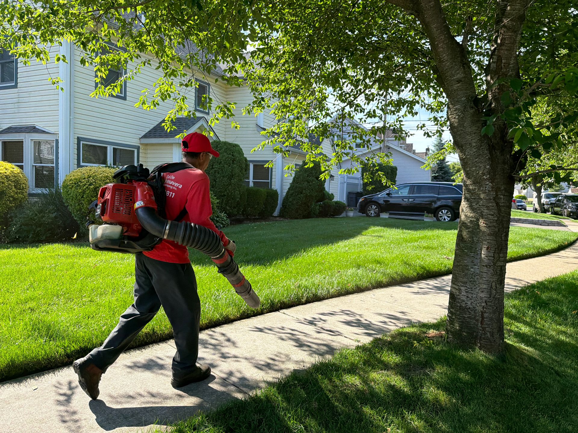 Person using a red leaf blower on a sunny suburban sidewalk beside a lawn and trees