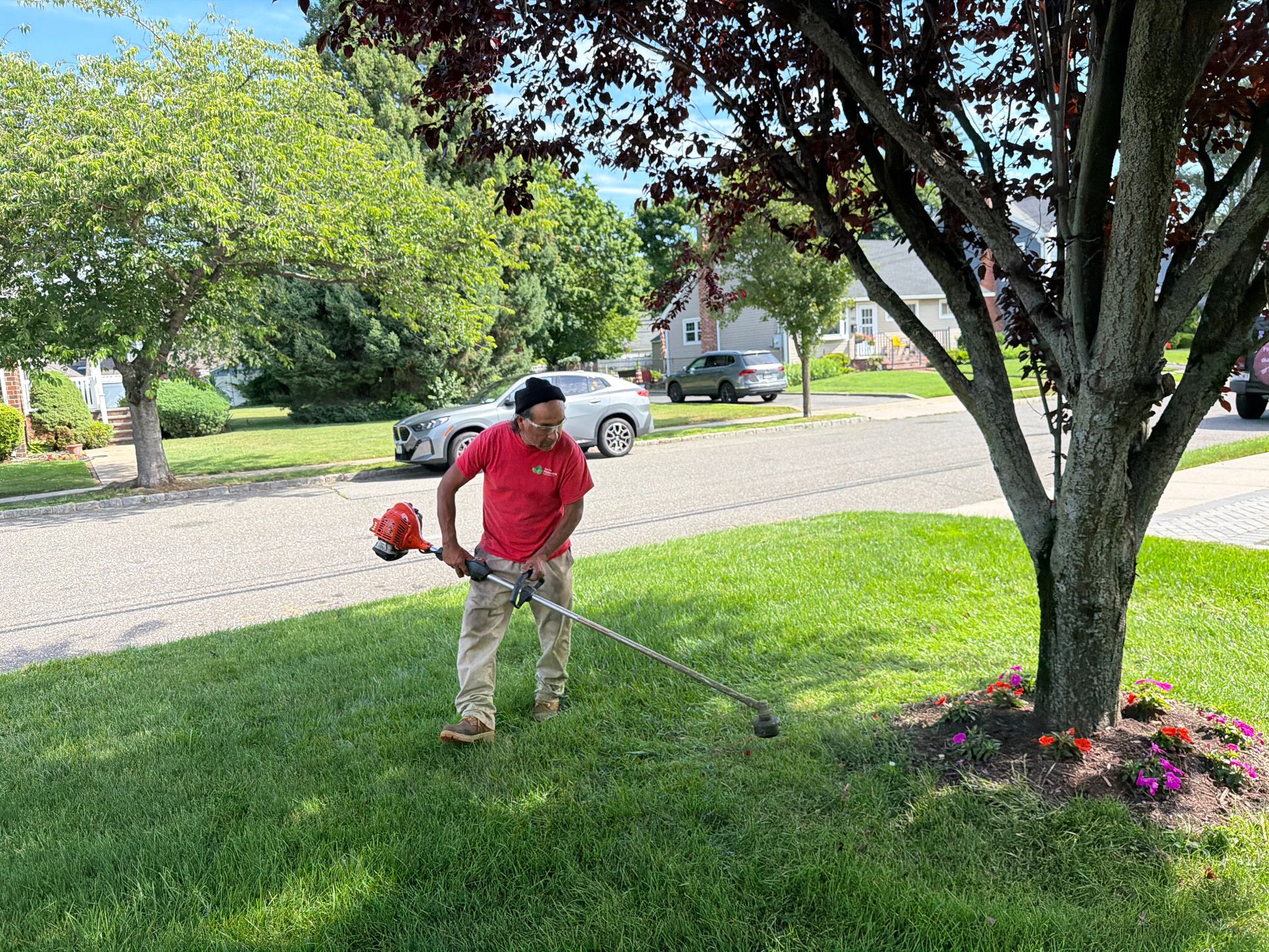 Person using a string trimmer to edge grass around a tree in a suburban yard