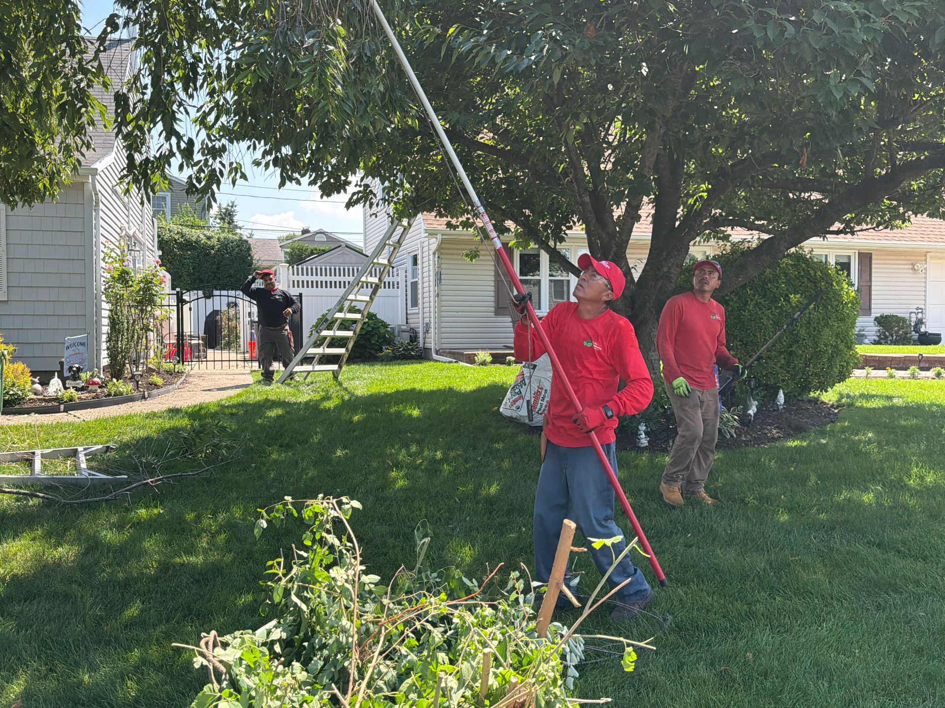 Two workers in red shirts trim bushes in a sunny residential yard near a house and ladder.