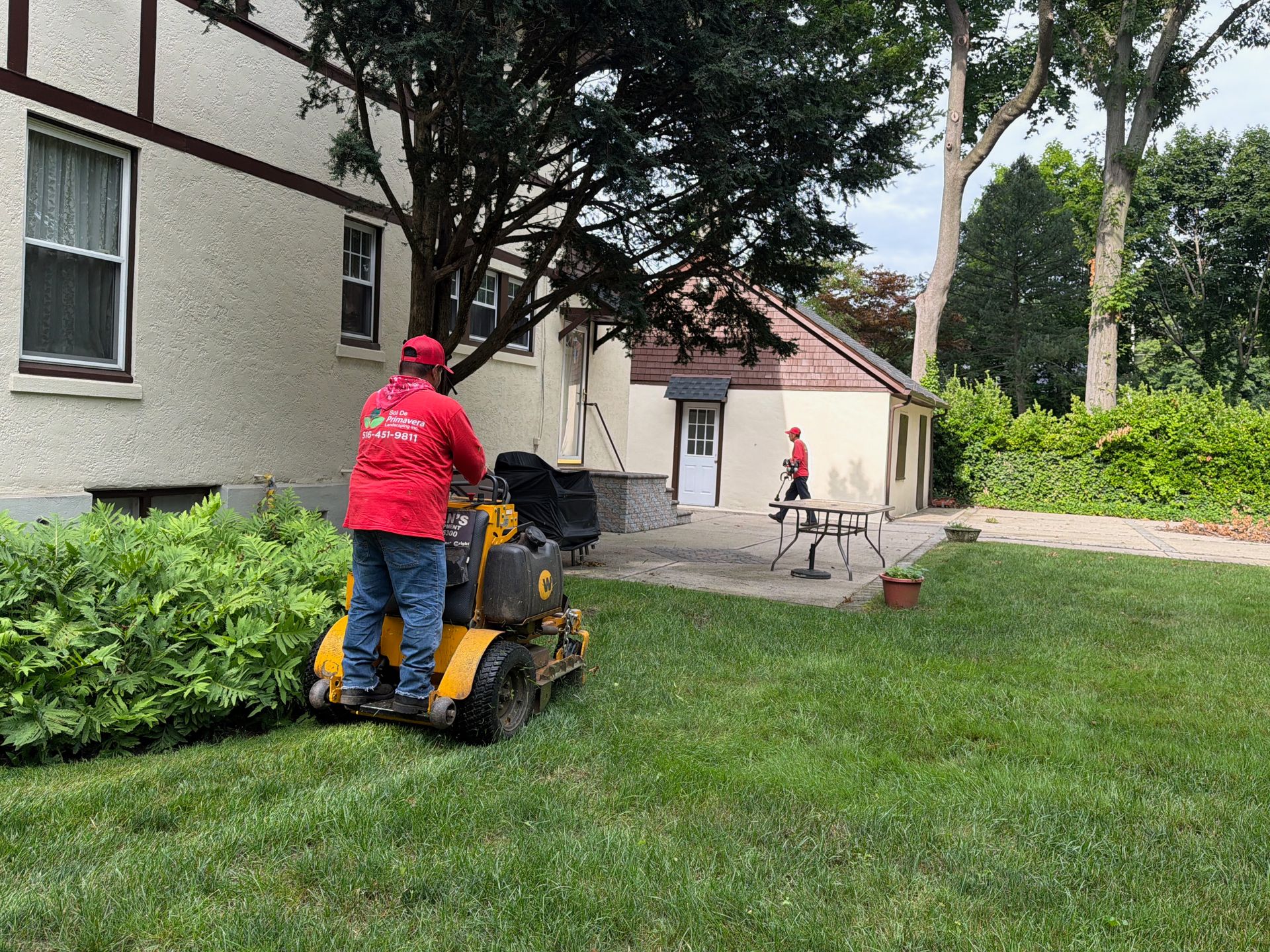 Person in red jacket mowing grass beside a house, with a wheelbarrow and trees nearby.