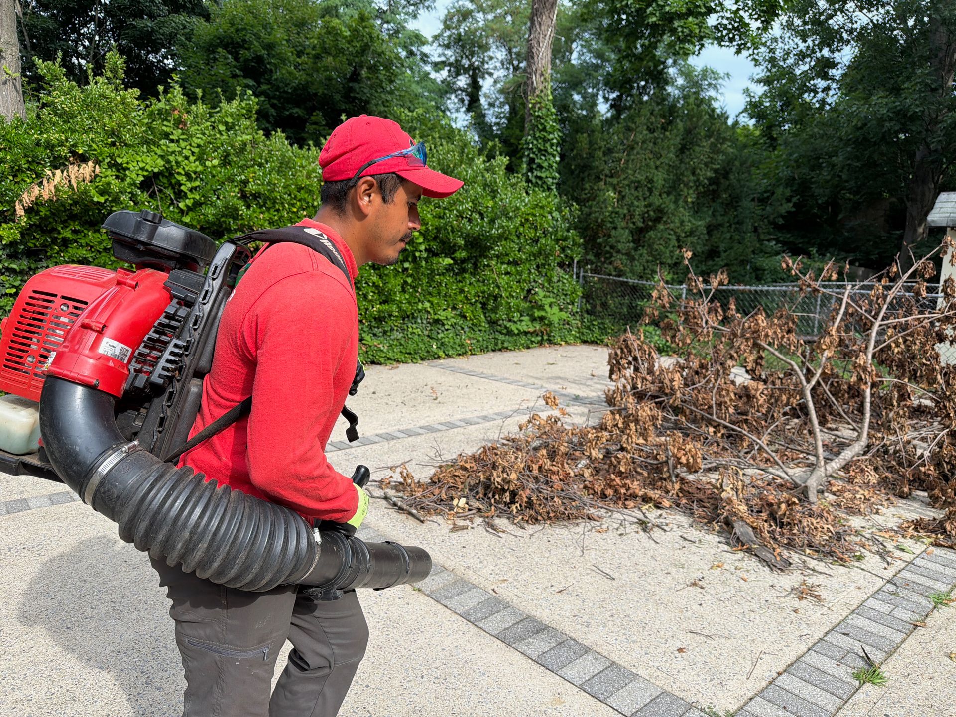 Worker with red leaf blower clearing debris from a sidewalk and curbside area.