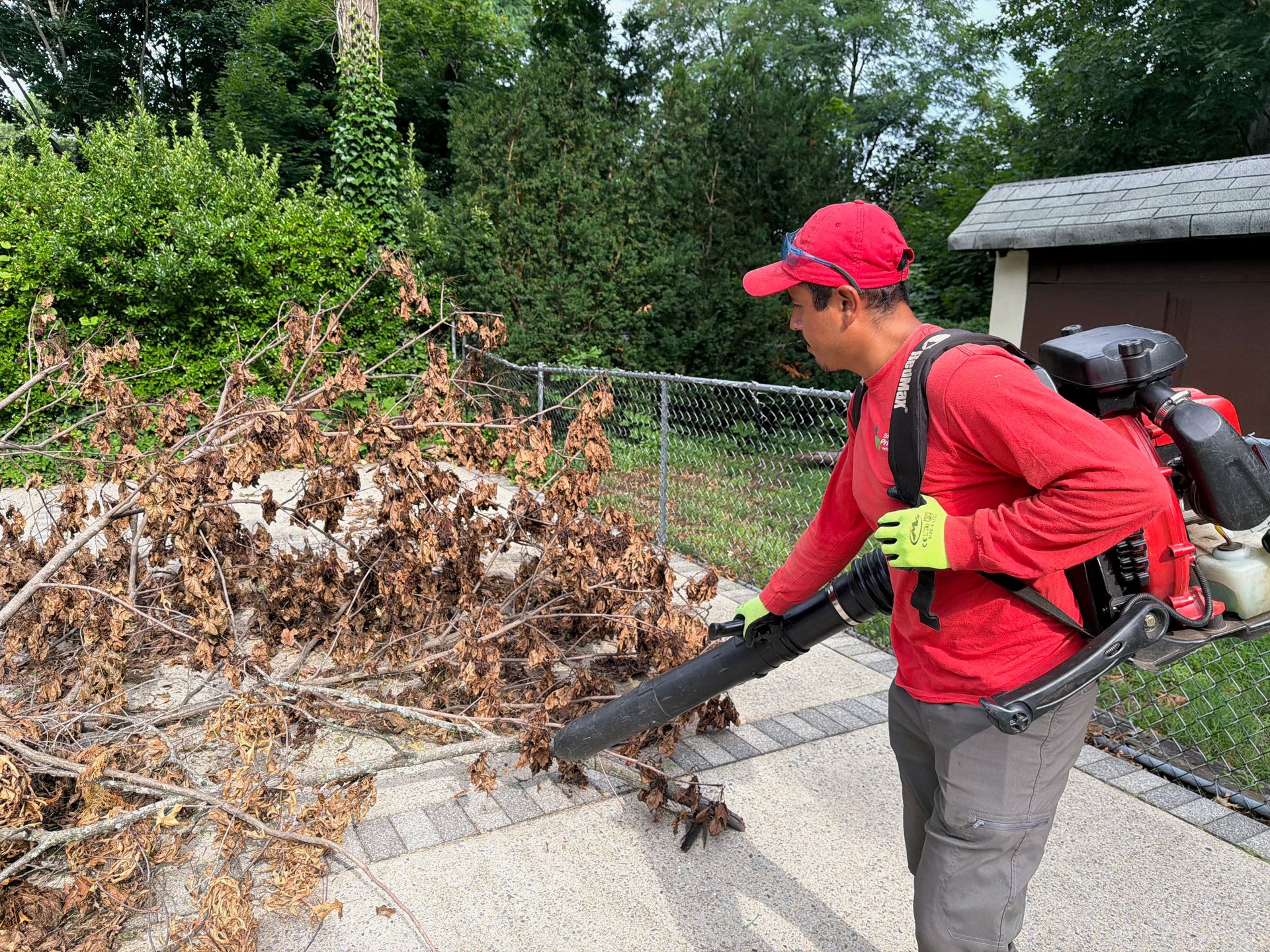 Worker in red clears dry yard debris with a leaf blower beside a chain-link fence.