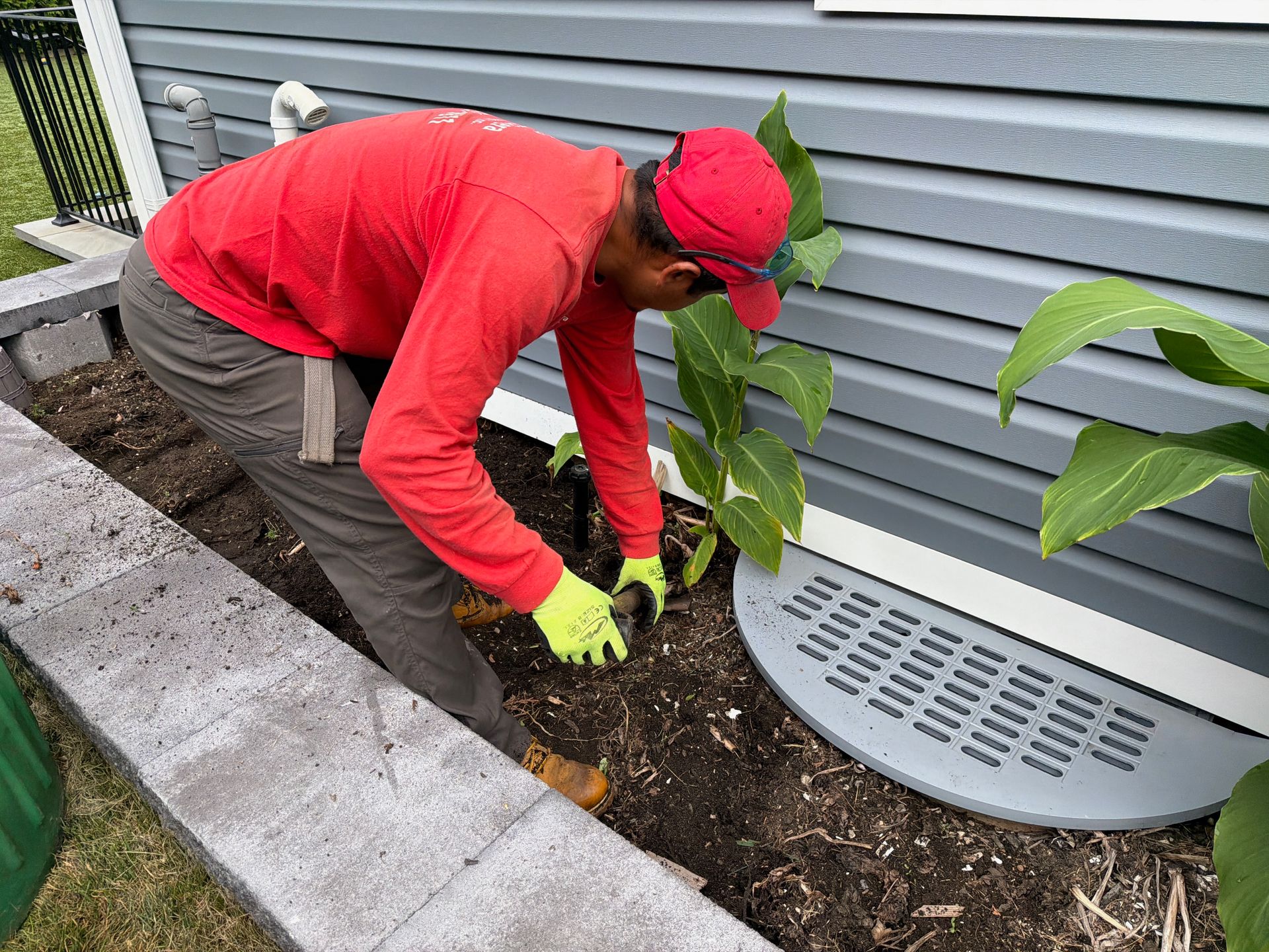 Person in red shirt and gloves planting a seedling beside a house foundation.