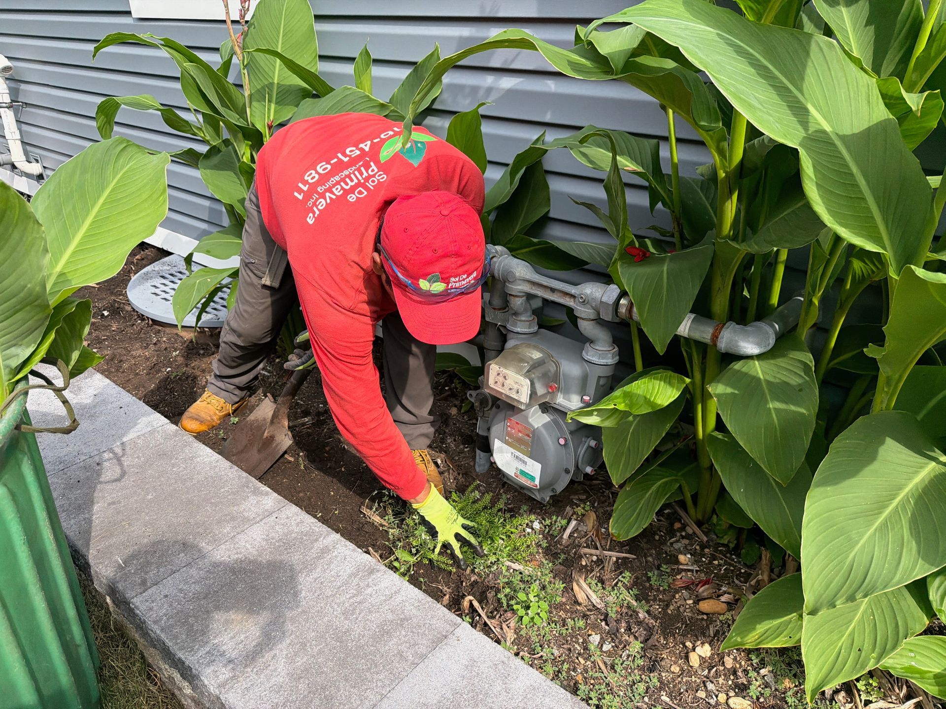 Person in red shirt and cap weeding a garden bed beside a house with large green plants.