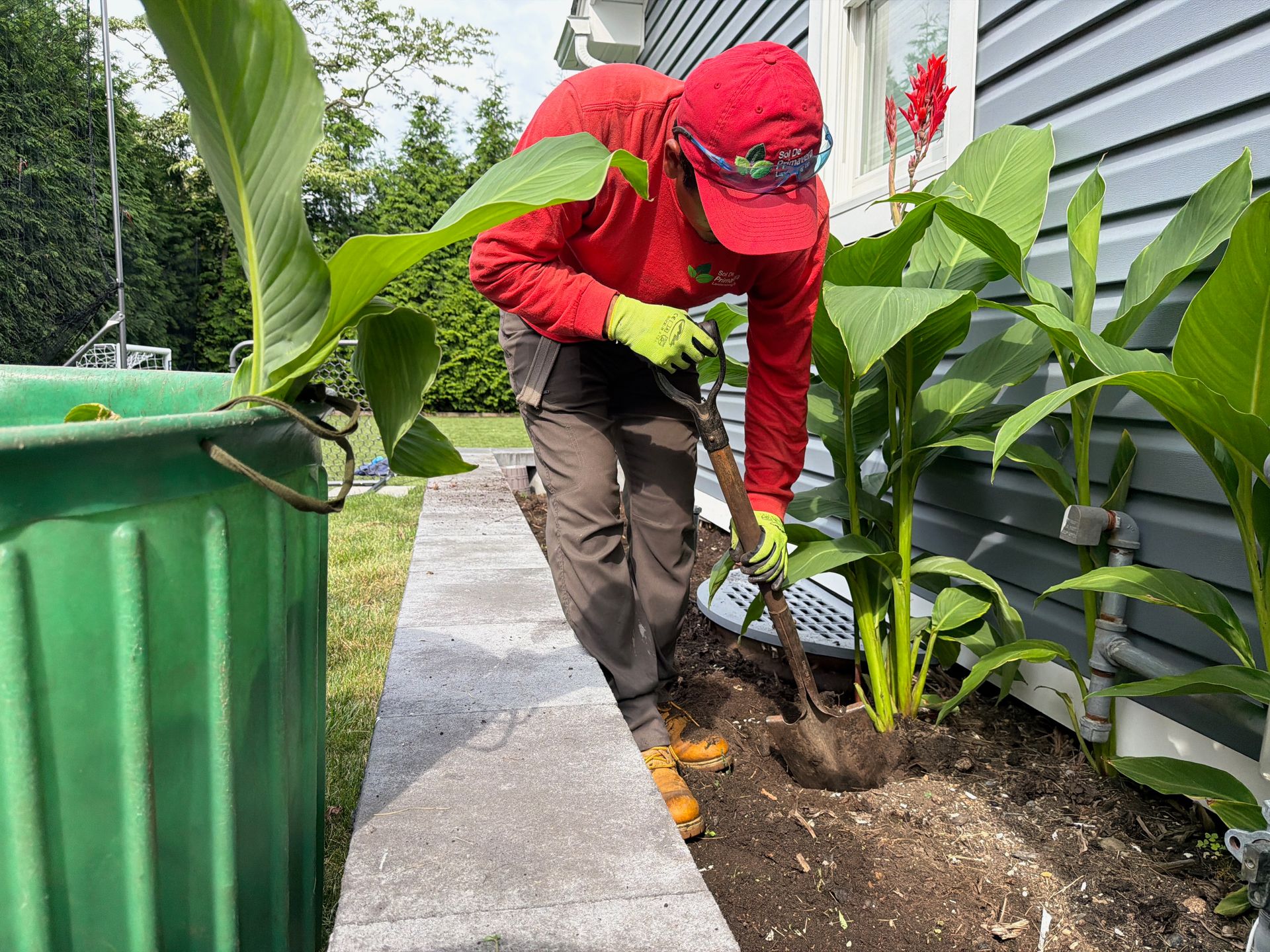 Person in a red shirt working in a garden beside a house, near a green bin and plants.