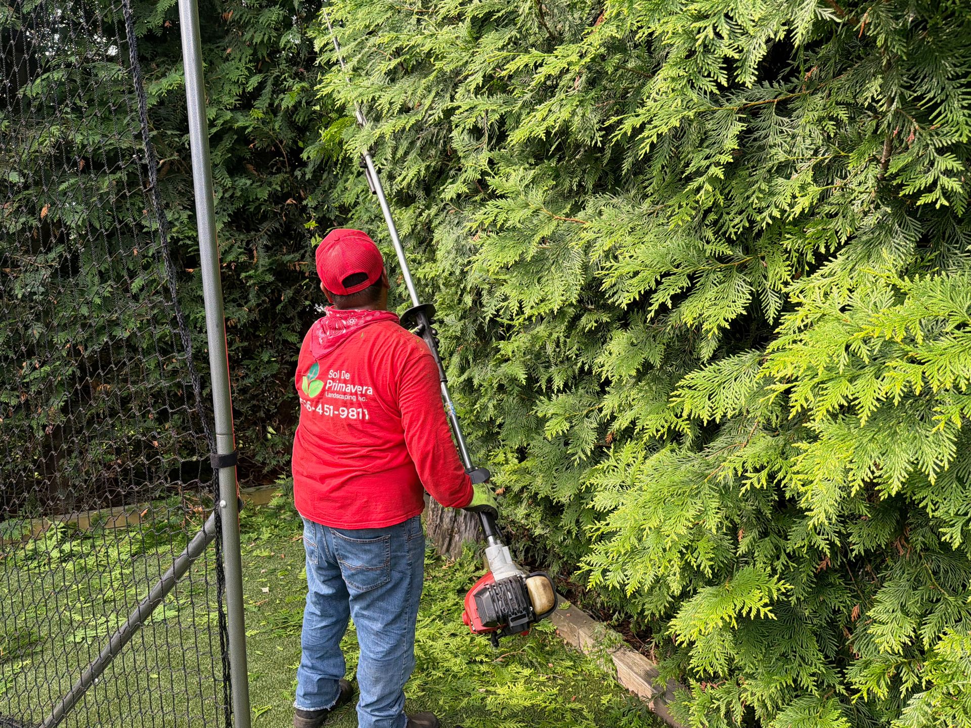 Worker in red jacket using a trimmer to cut hedges beside a fence
