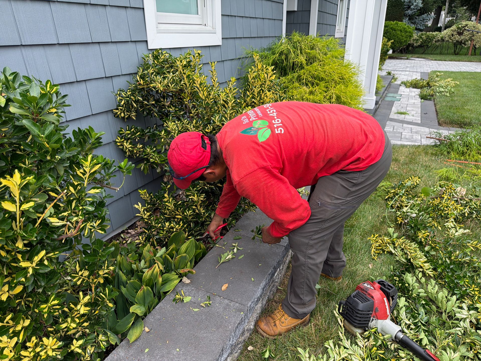 Person in red hoodie trimming plants along a house siding with a hedge trimmer
