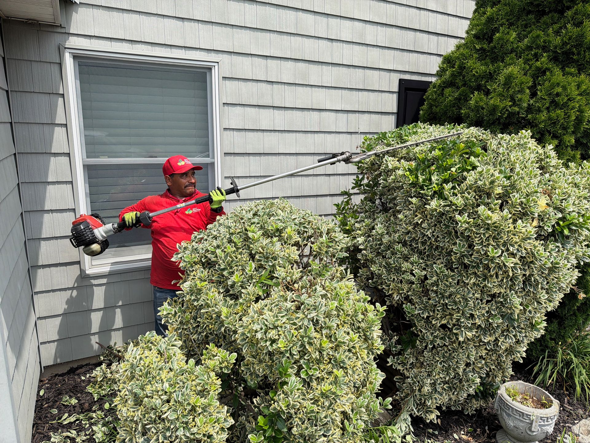 Worker in red trimming bushes with a pole trimmer beside a house.