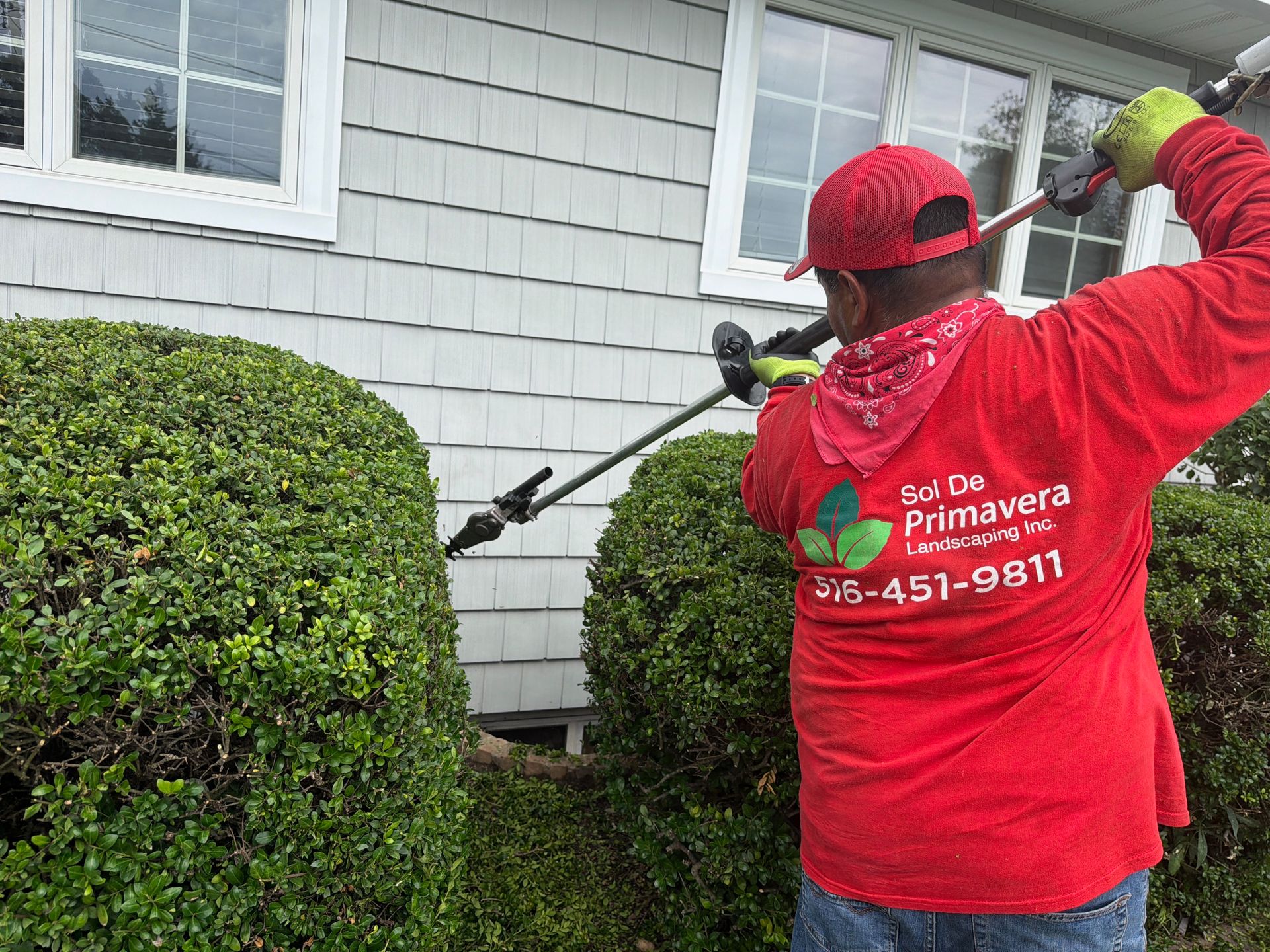 Worker in red jacket trimming hedges beside a house with a hedge trimmer
