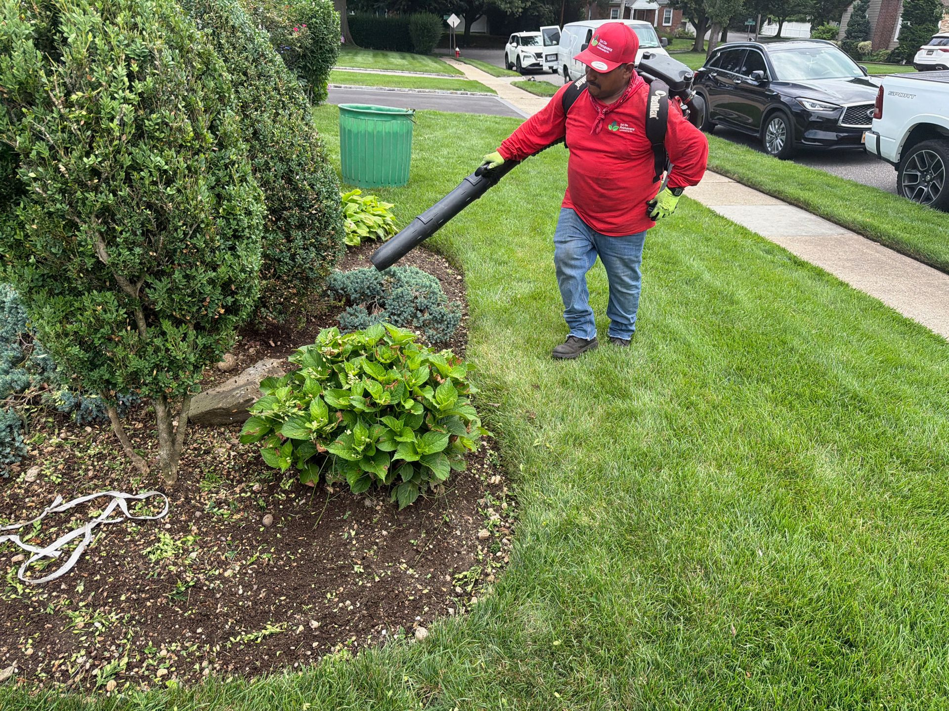 Person in a red jacket using a leaf blower on a front lawn beside a shrub and sidewalk.