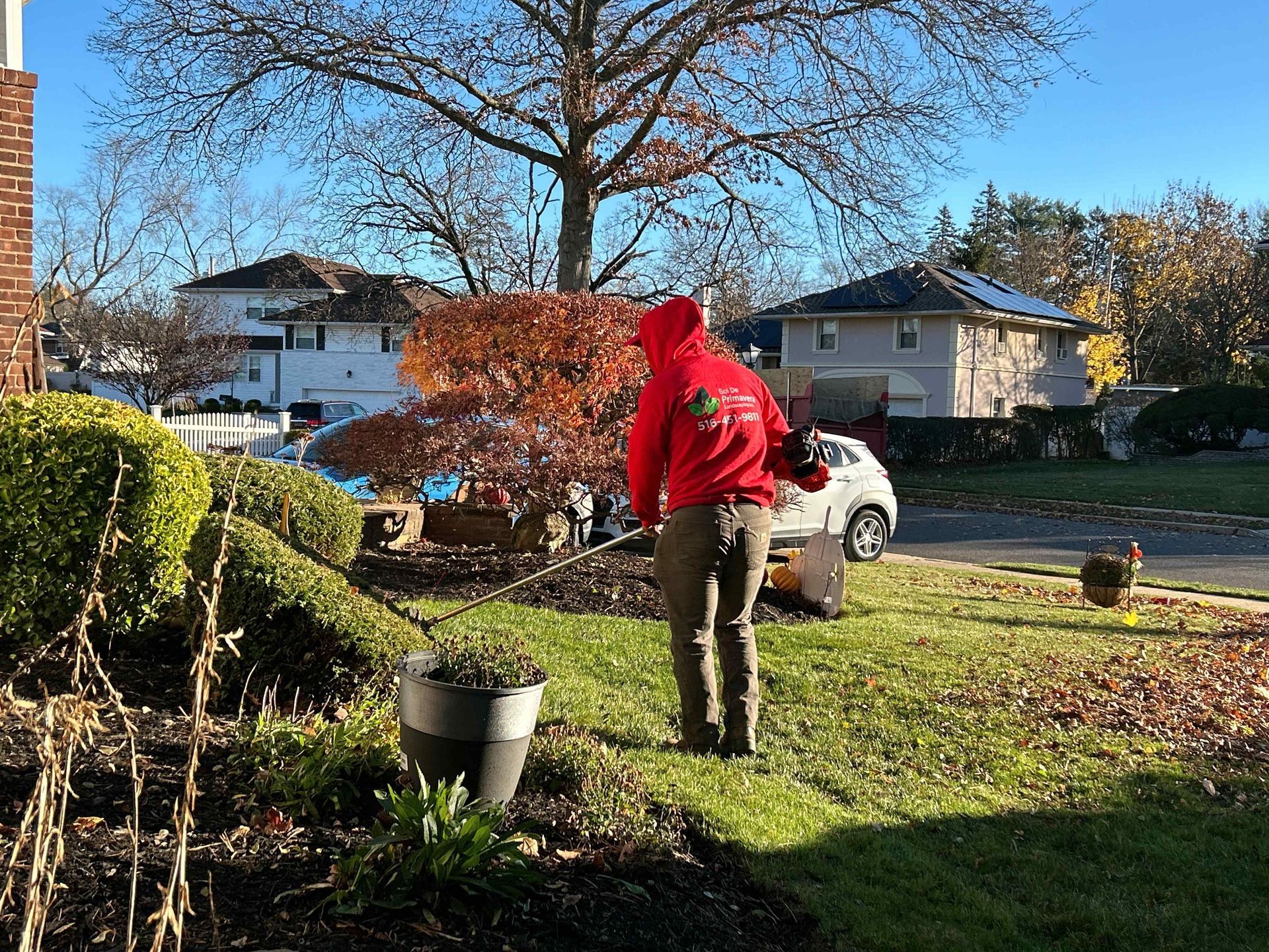 Person in a red hoodie standing in a sunny front yard beside a white car and leafless trees.