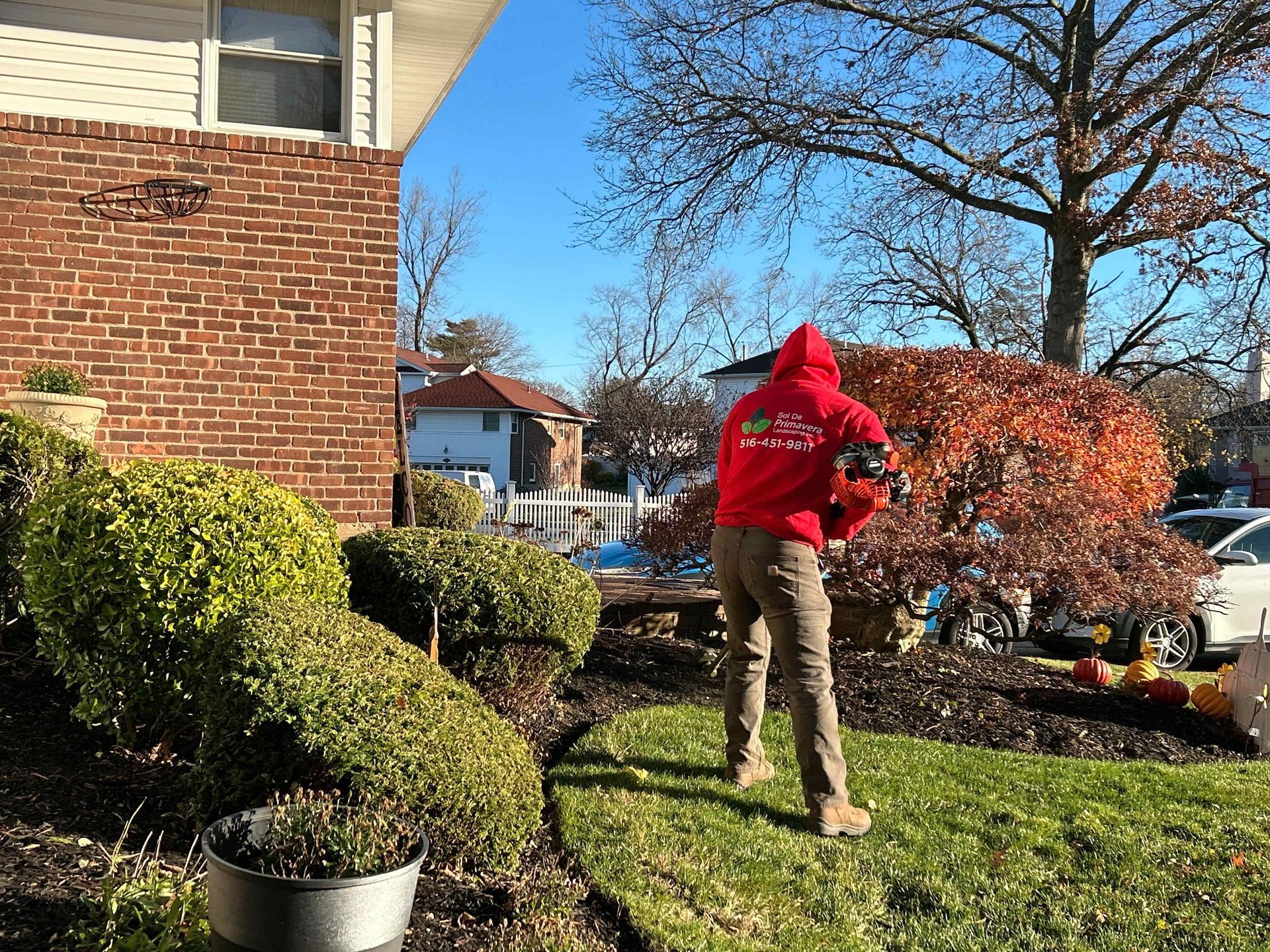 Person in a red hoodie standing on a lawn beside a brick house and shrubs on a sunny day
