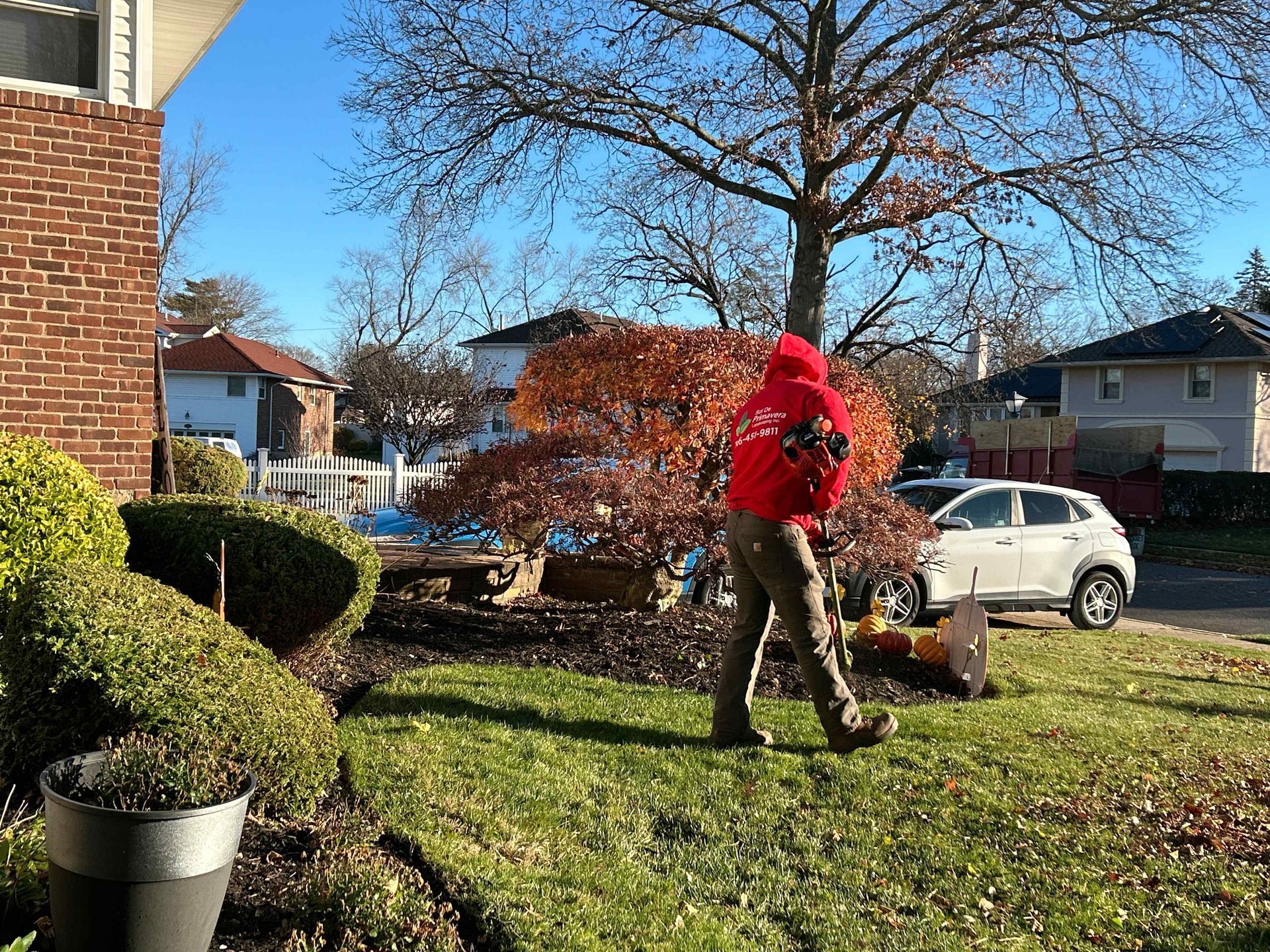 Person in red jacket working in a front yard with trees, bushes, and parked cars on a sunny day