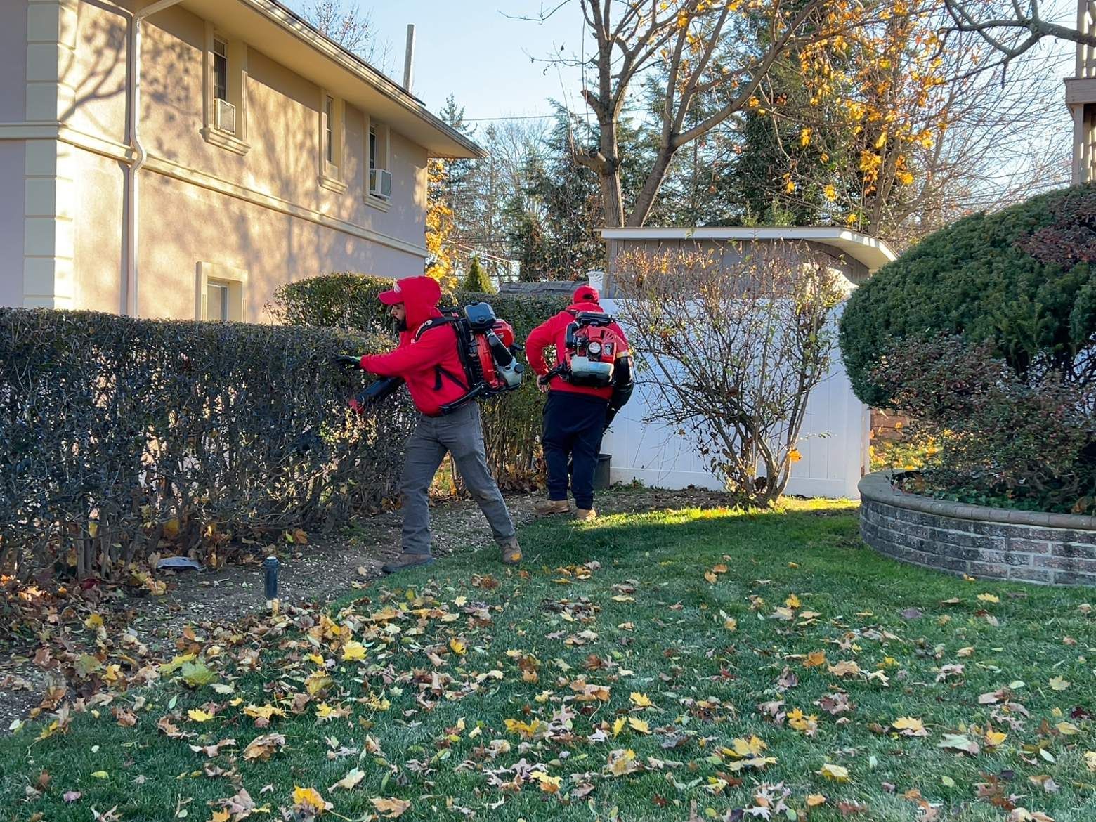 Two people in red jackets walking through a leafy backyard near hedges and a house.