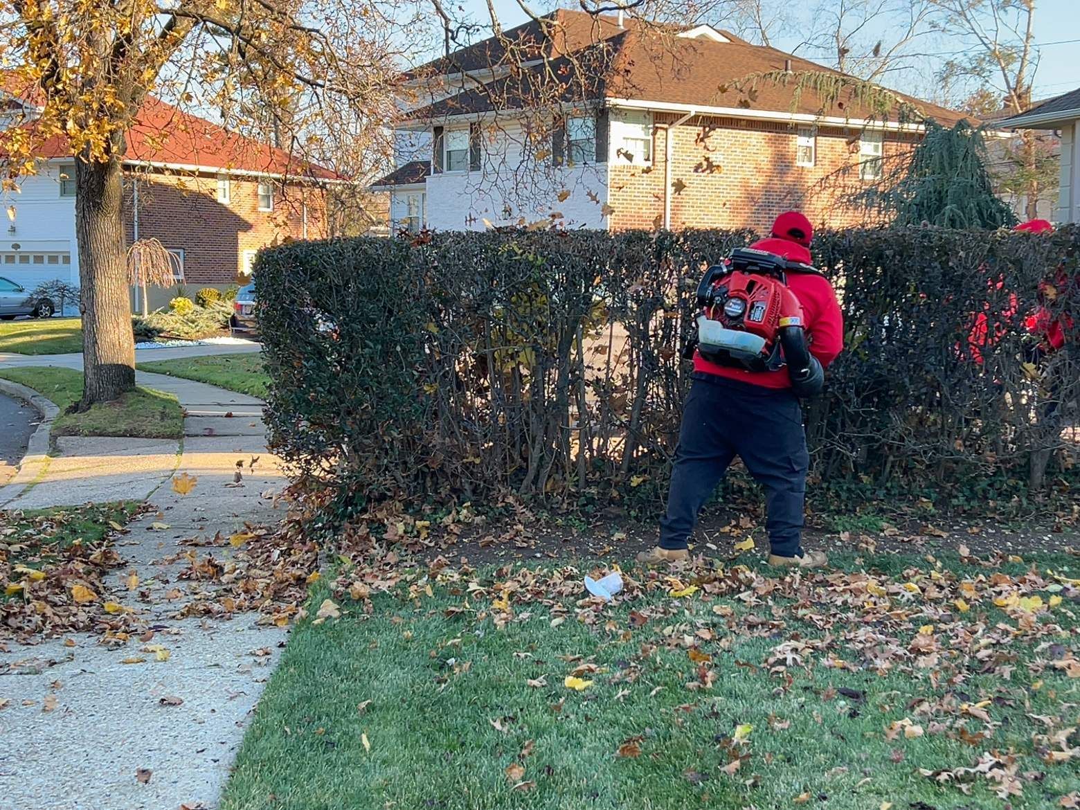 Person in a red hoodie using a backpack leaf blower beside a hedge in a suburban yard