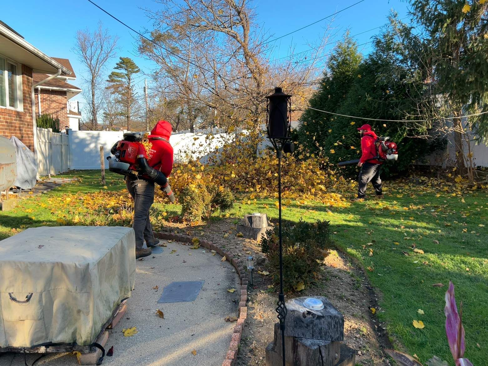Two workers in red jackets trimming shrubs in a sunny backyard