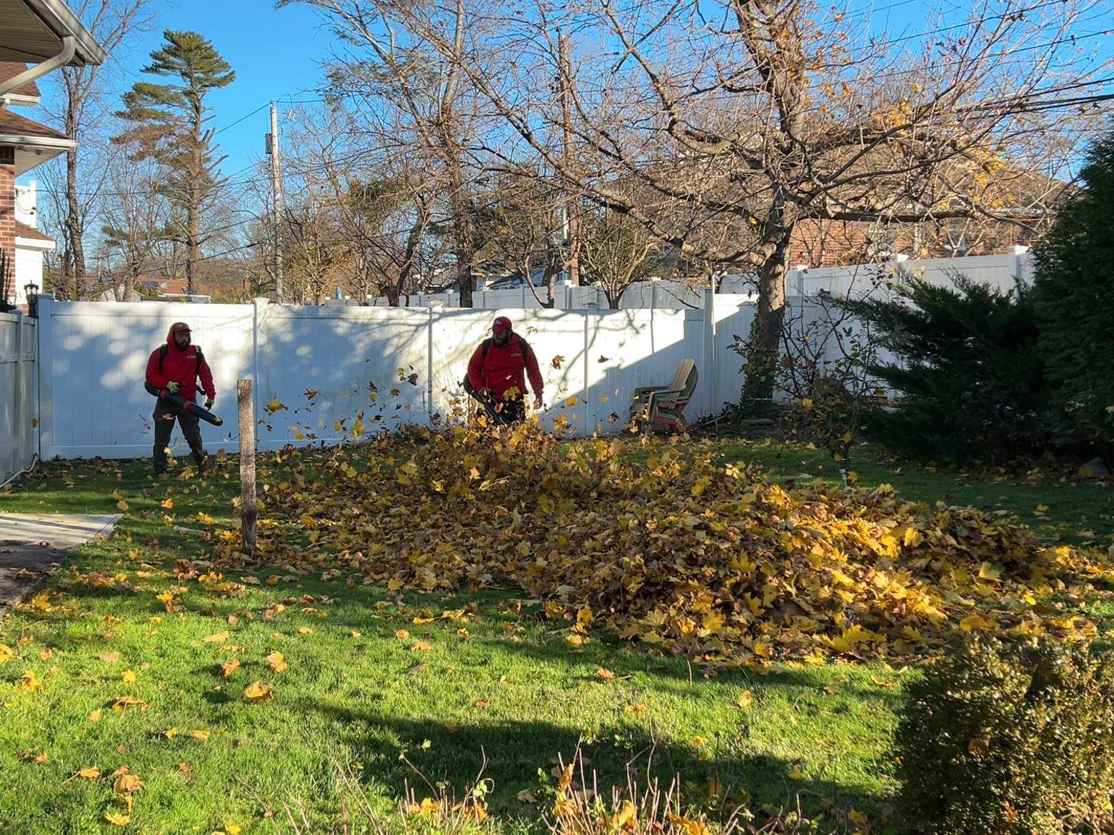 Two people raking a large leaf pile in a sunny backyard with a white fence and bare trees