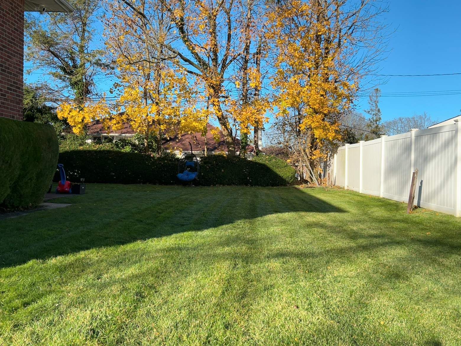 Backyard lawn with autumn trees, trimmed hedges, and a white fence under a clear blue sky