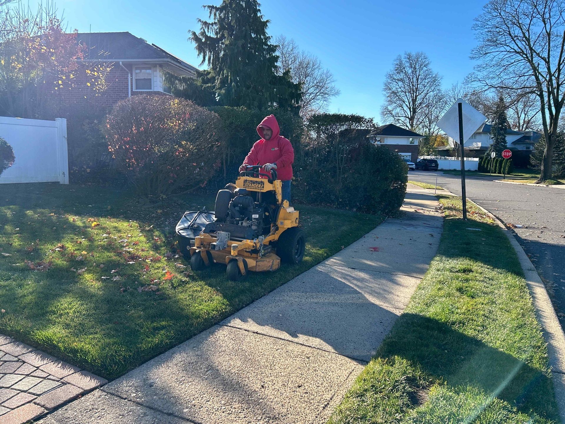 Person in red jacket mowing a grassy hedge beside a sidewalk on a sunny suburban street.
