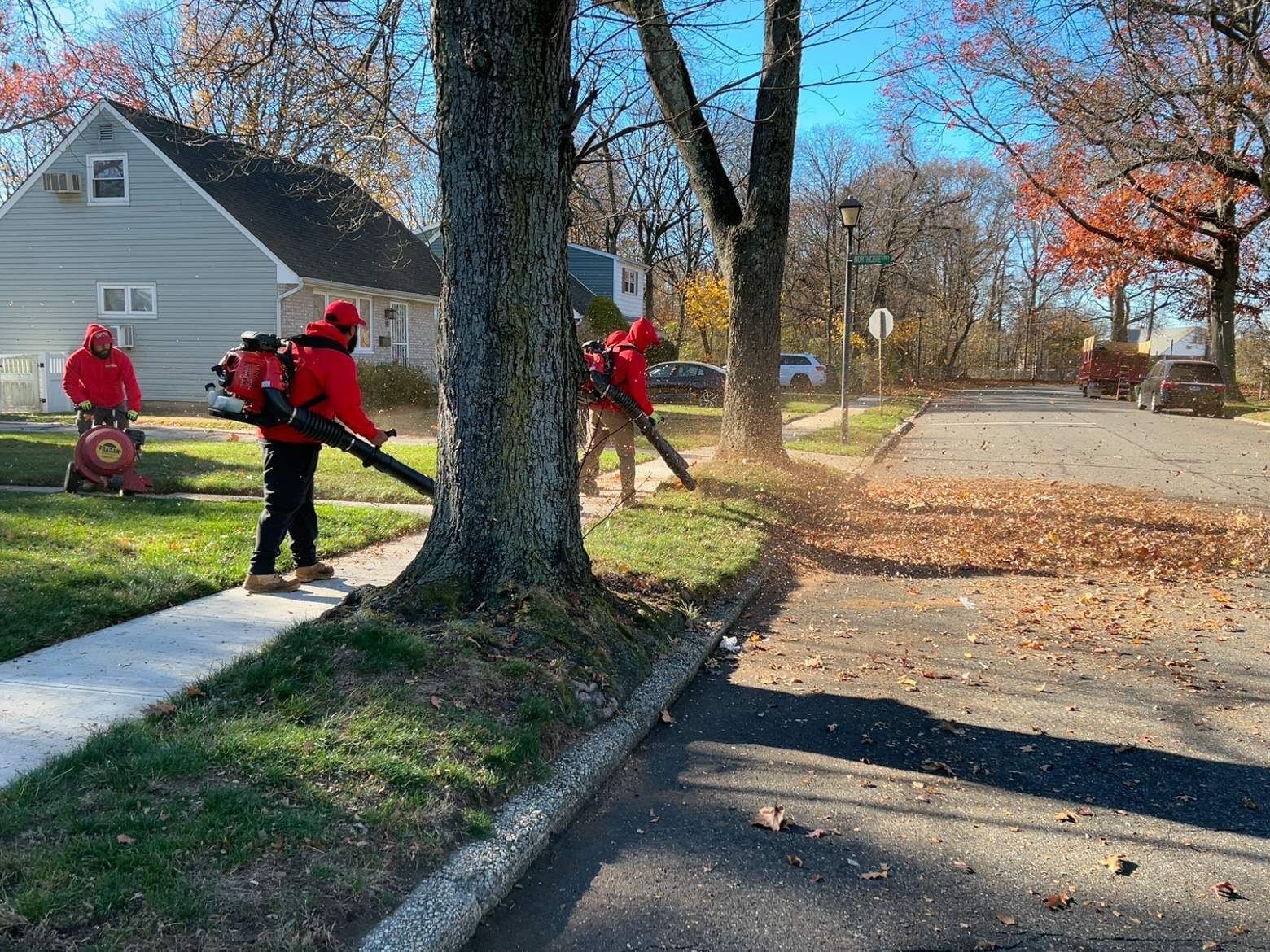 Workers in red jackets blow leaves along a suburban sidewalk beside a house and large tree.