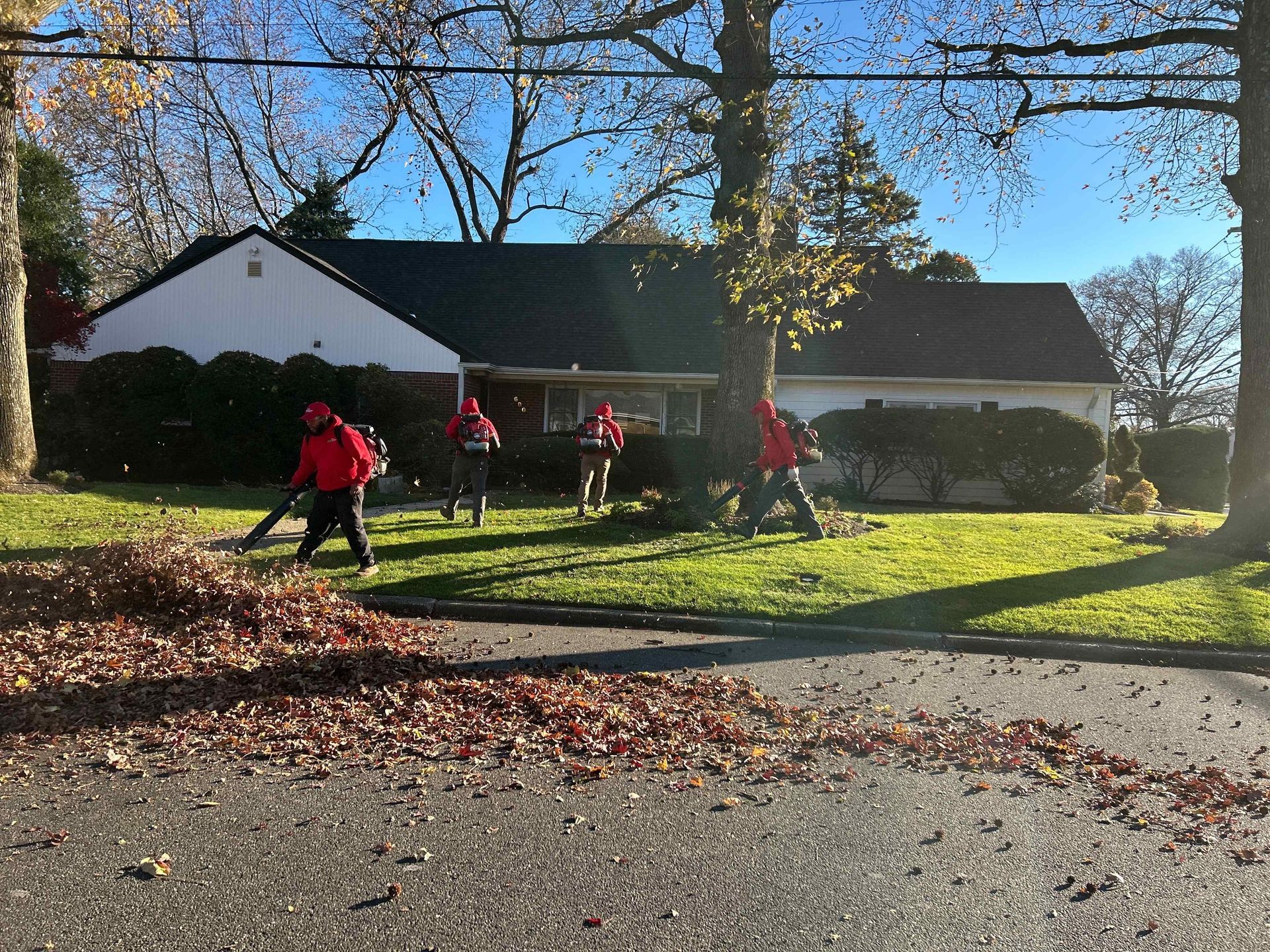 People raking leaves in a sunny yard beside a house with bare trees and autumn leaves.