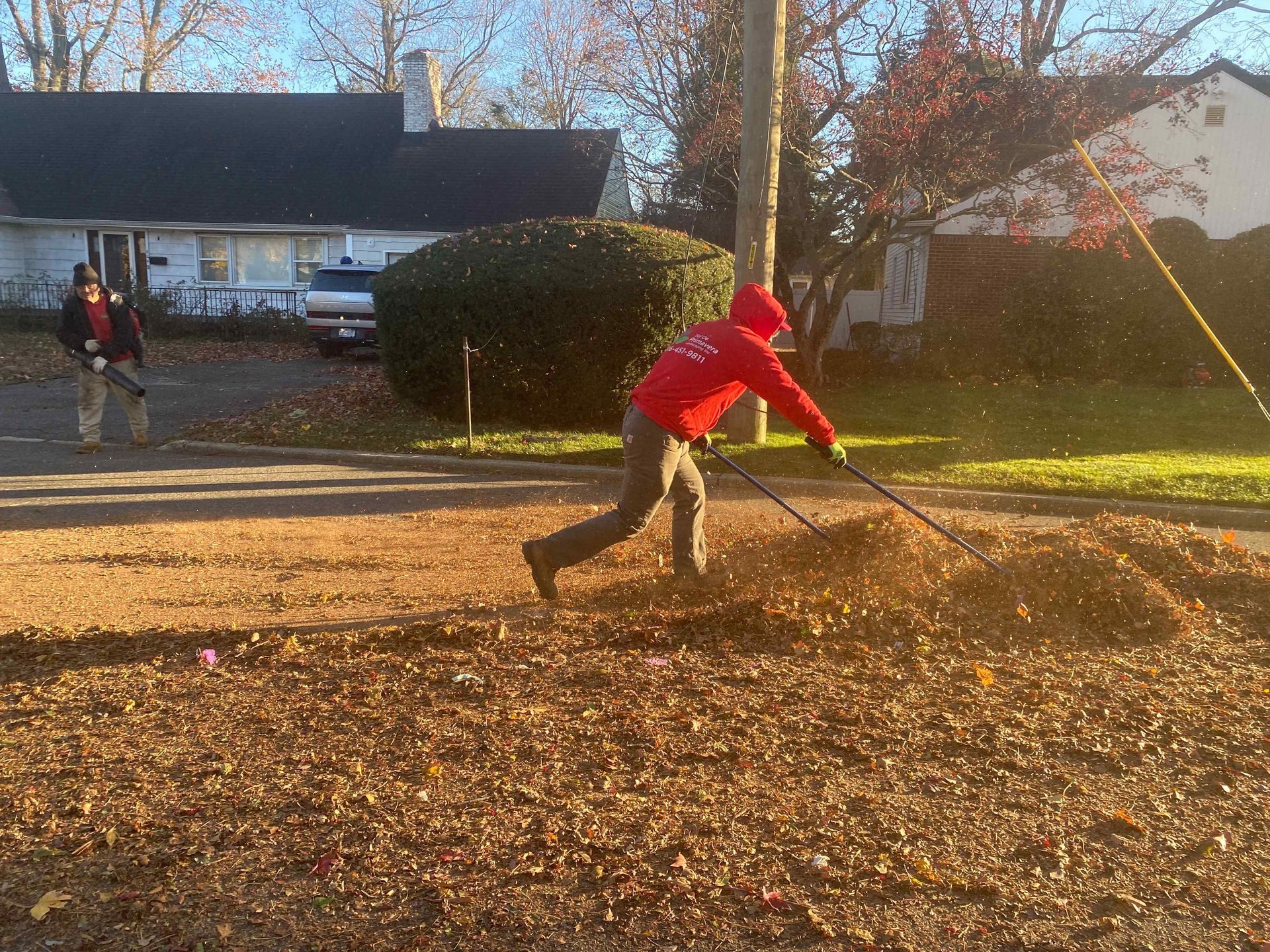 Person in a red jacket raking leaves in a yard on a sunny autumn day