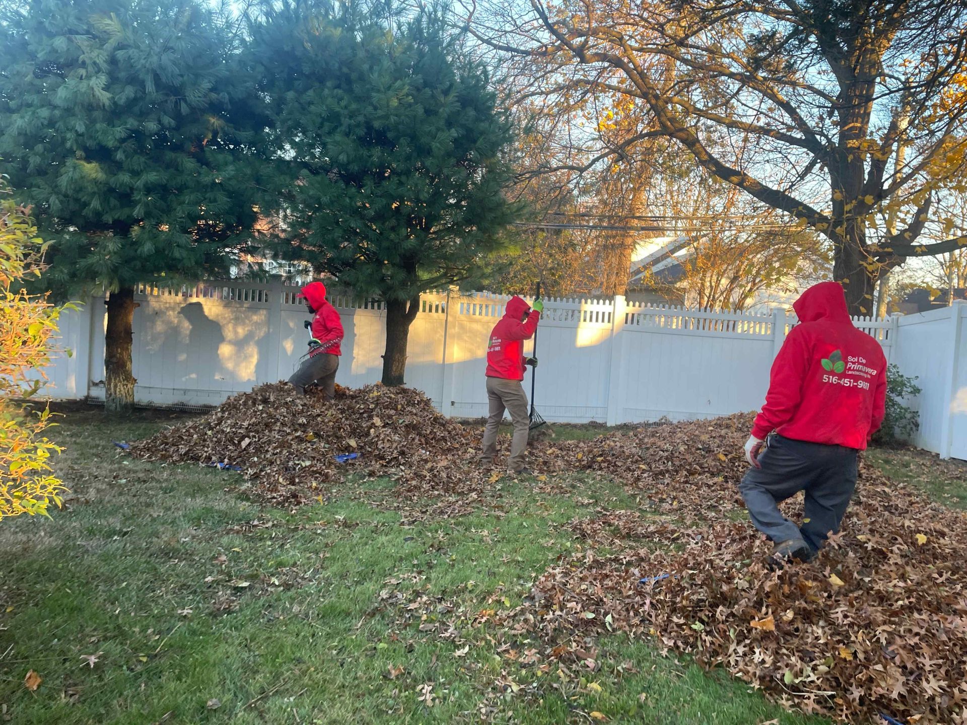 People in red hoodies raking leaves in a yard beside a white fence and tree.