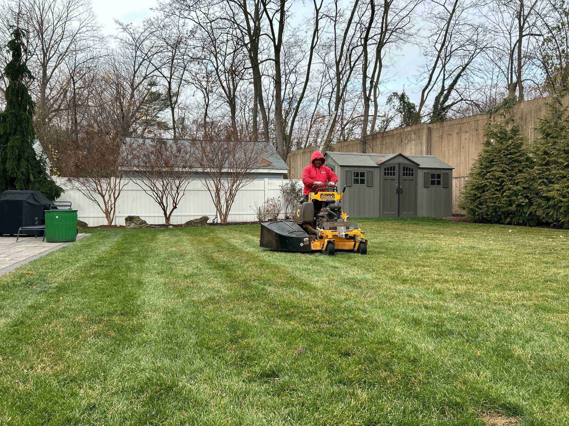 Person mowing a grassy backyard on a yellow riding mower, with sheds and trees in the background