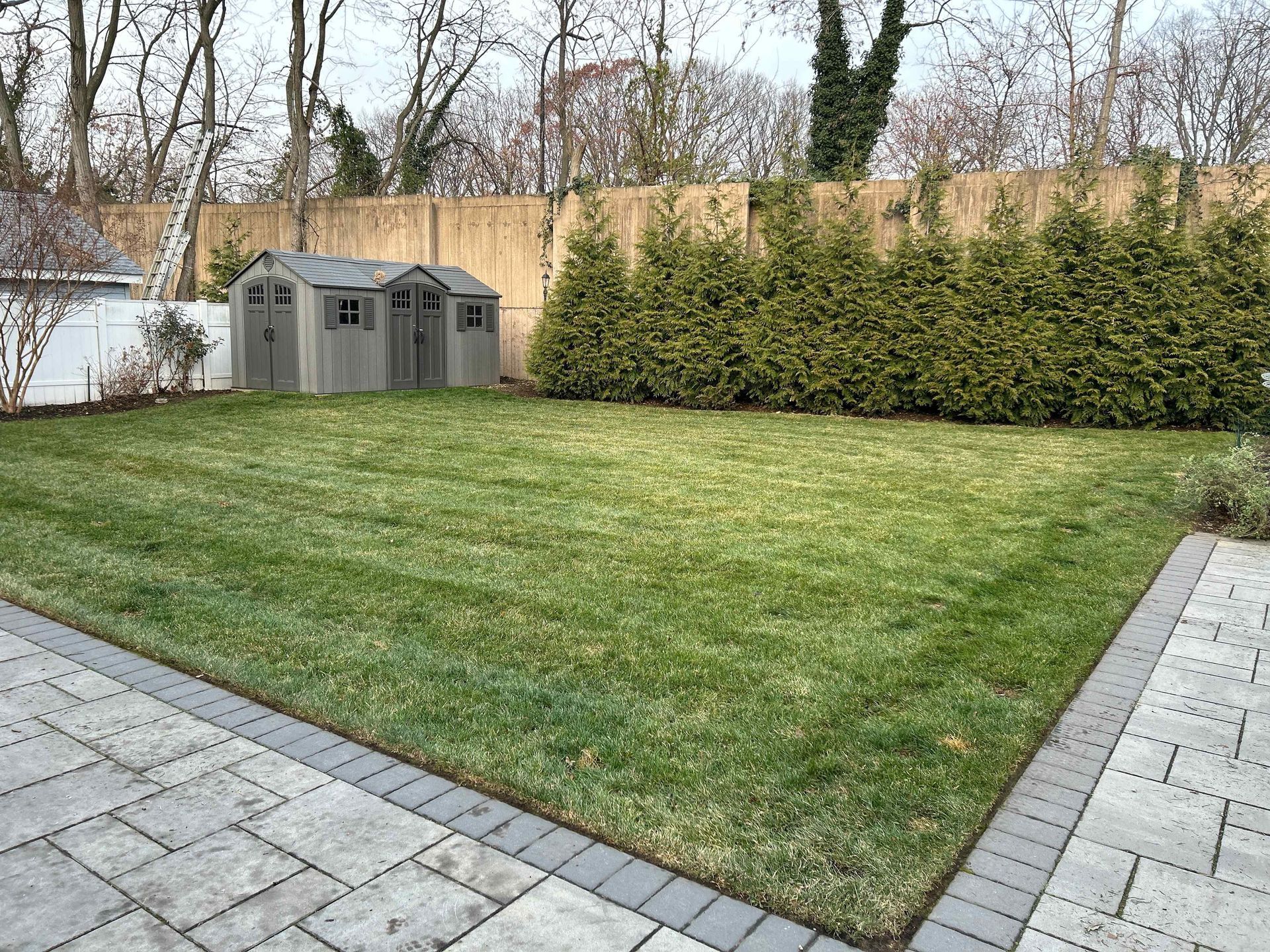Backyard lawn bordered by paving stones, evergreen hedge, and two gray storage sheds