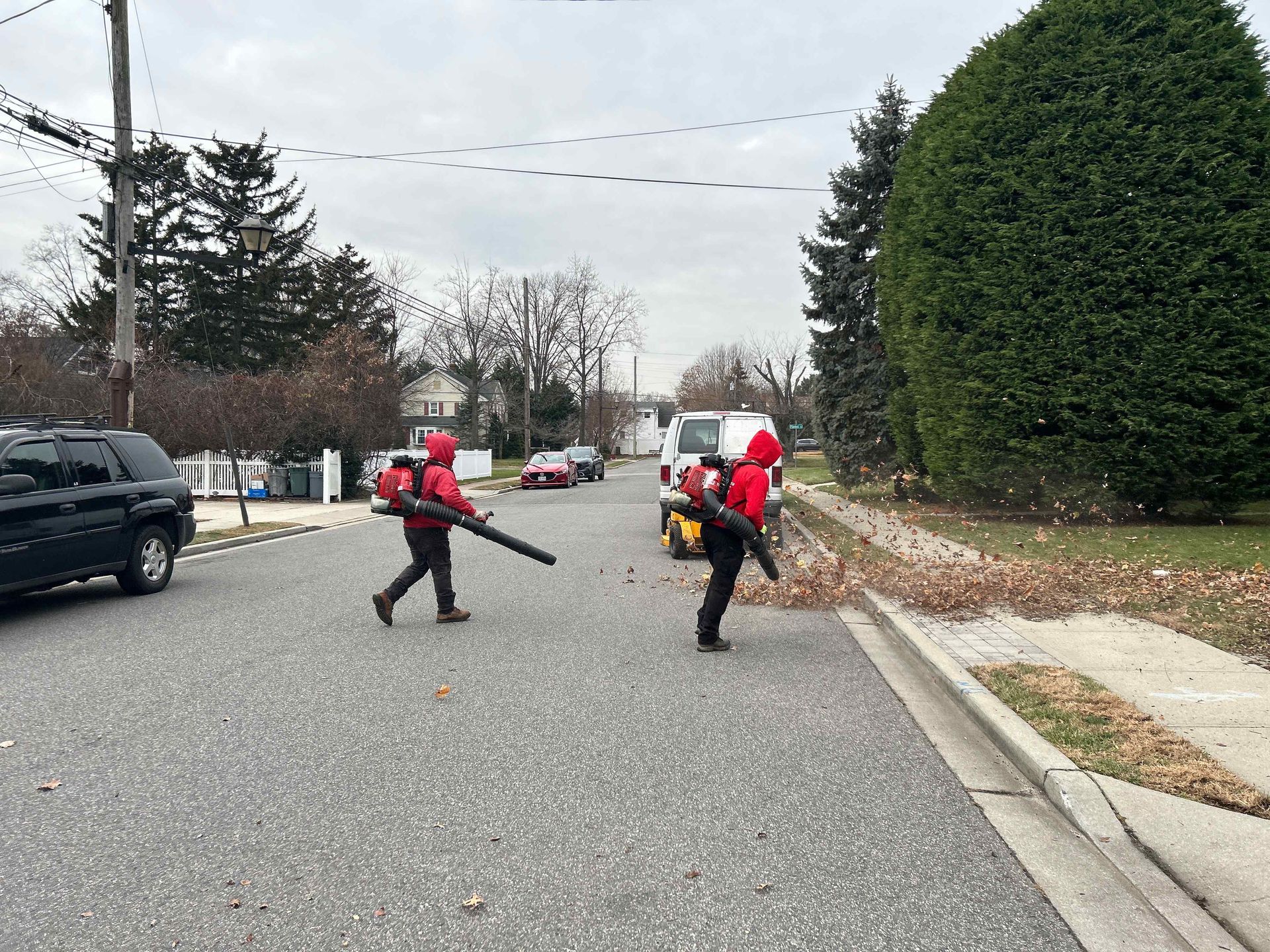 Two workers in red jackets using leaf blowers on a suburban street with parked cars and a large hedge