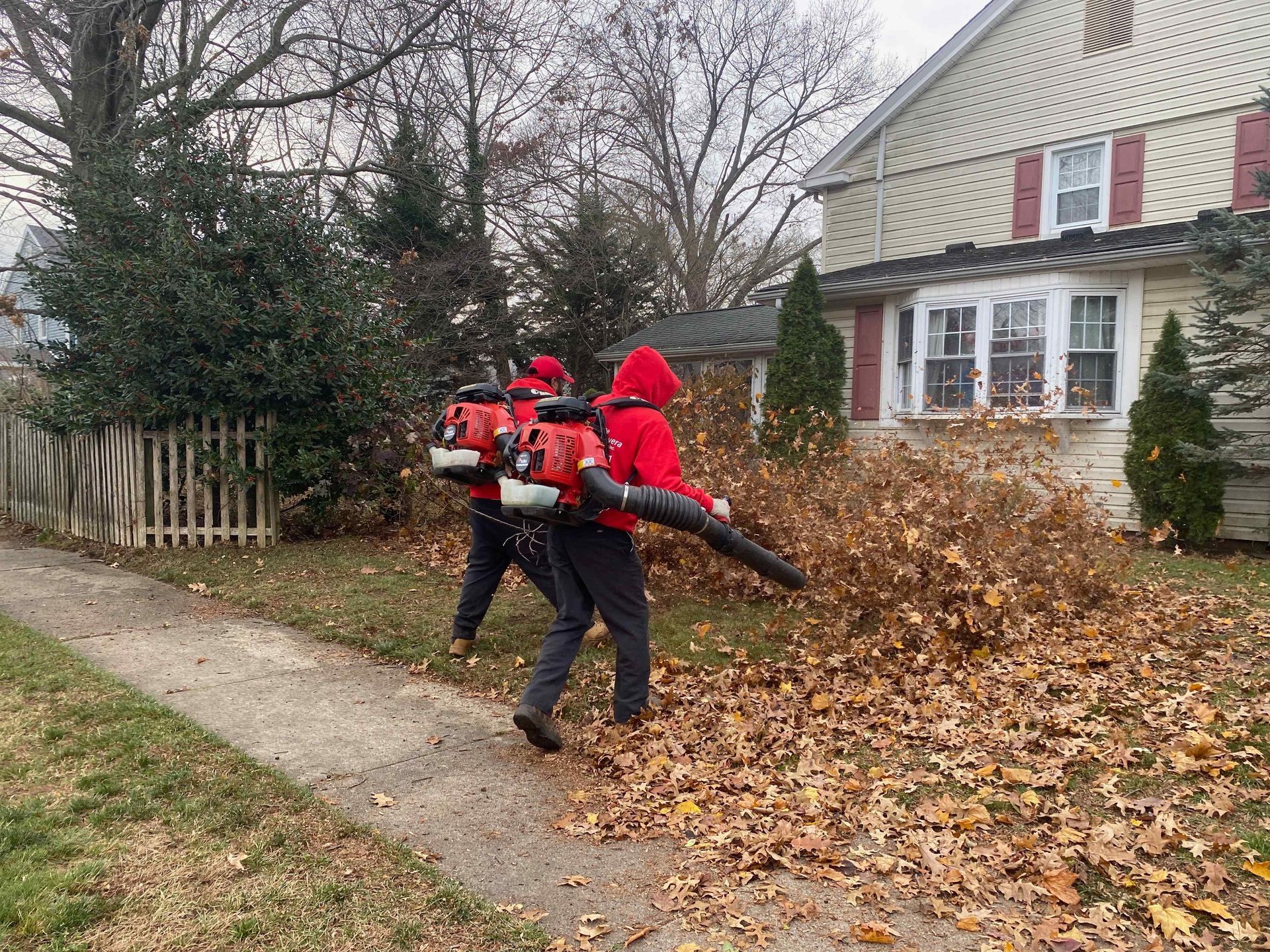 Two workers in red jackets use a leaf blower on a yard beside a house, blowing leaves along the sidewalk.