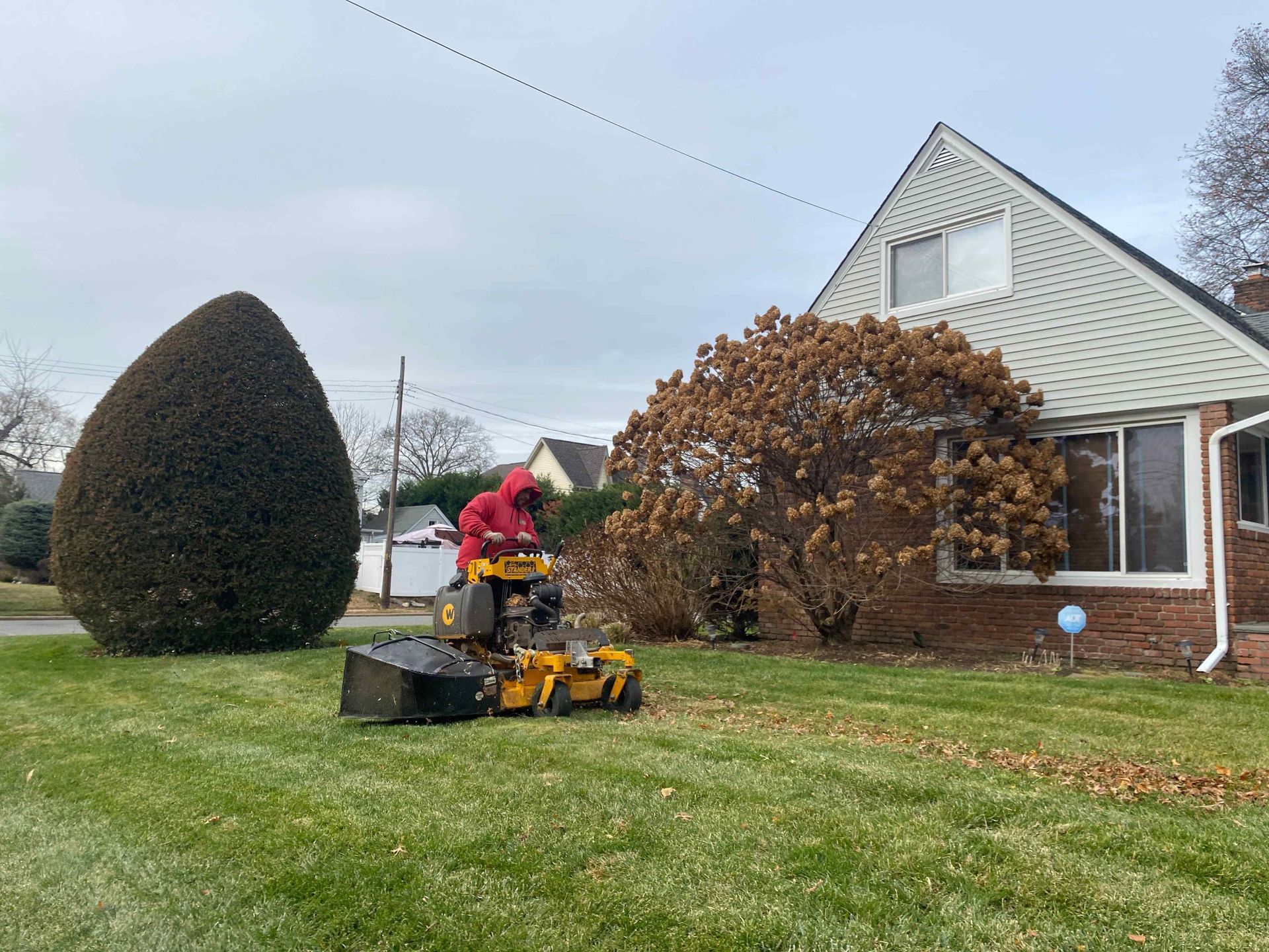 Person riding a lawn mower on a grassy yard beside a house and trimmed bushes.