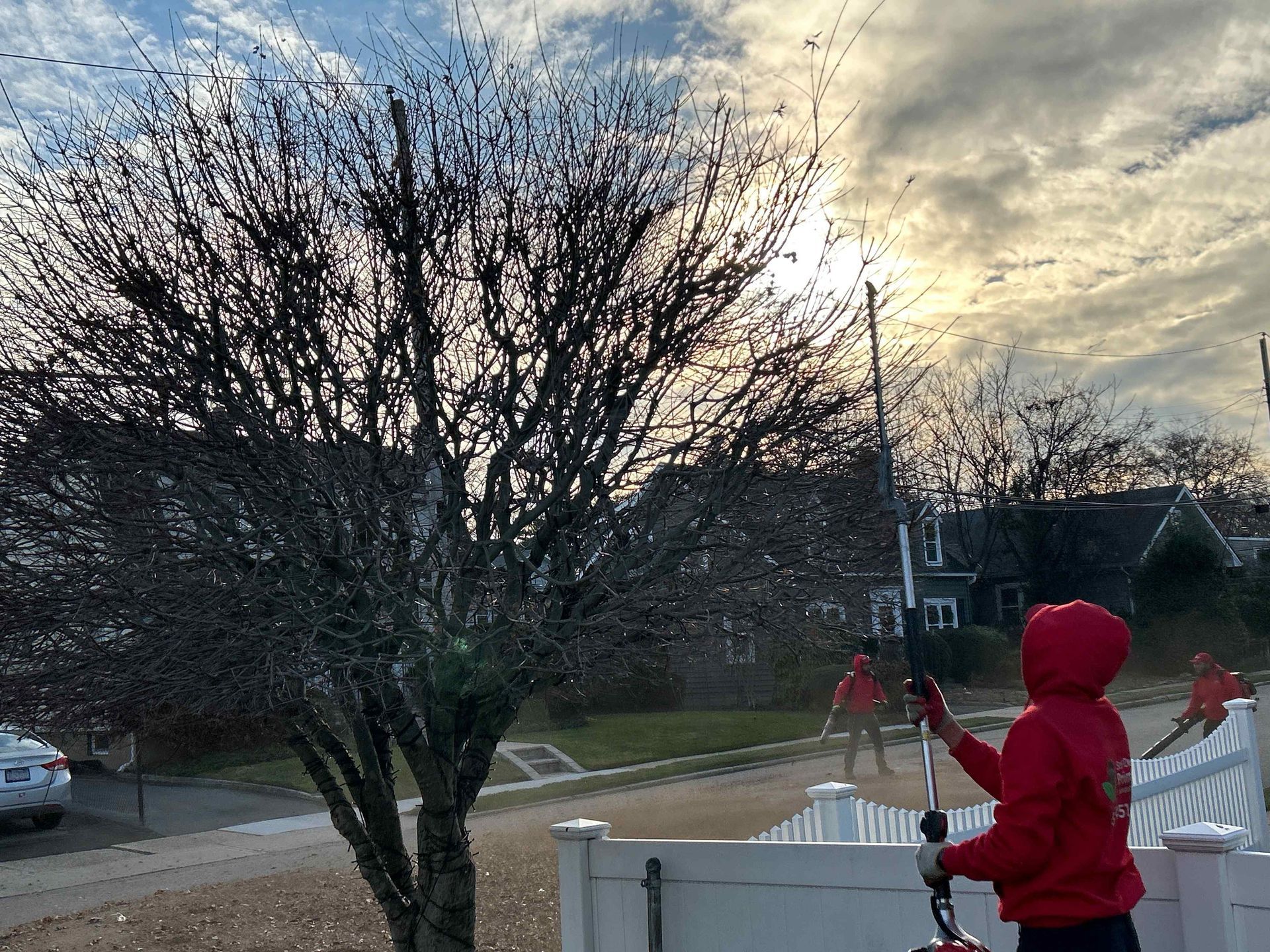 Person in red hoodie standing by a white fence near a leafless tree at dusk.