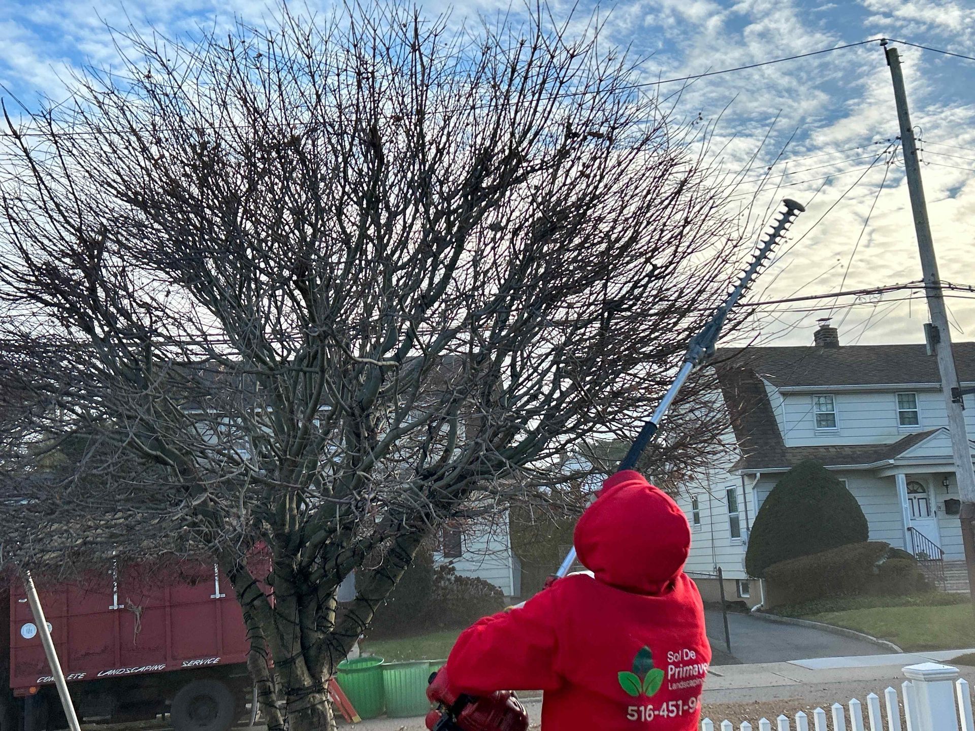 Child in red hooded jacket looking up at bare tree and cloudy sky on a residential street