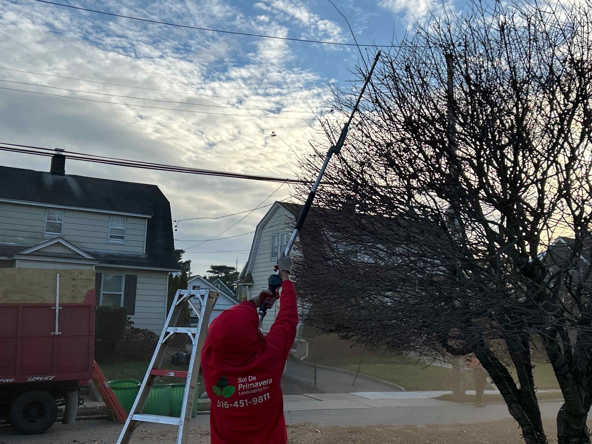 Person in red jacket using a ladder to trim a tree in a suburban yard at dusk