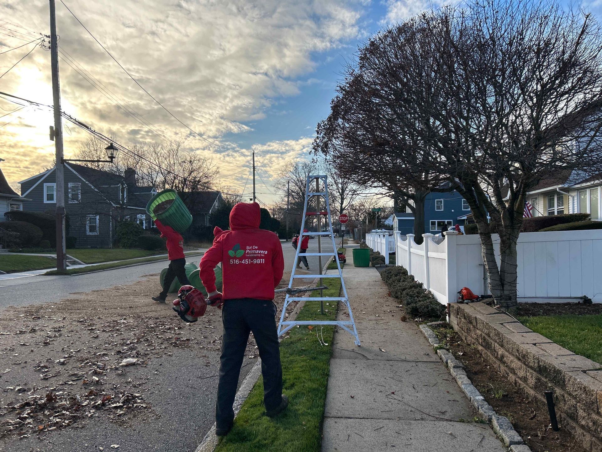 Two workers in red jackets trim a tree along a suburban sidewalk on a cloudy day