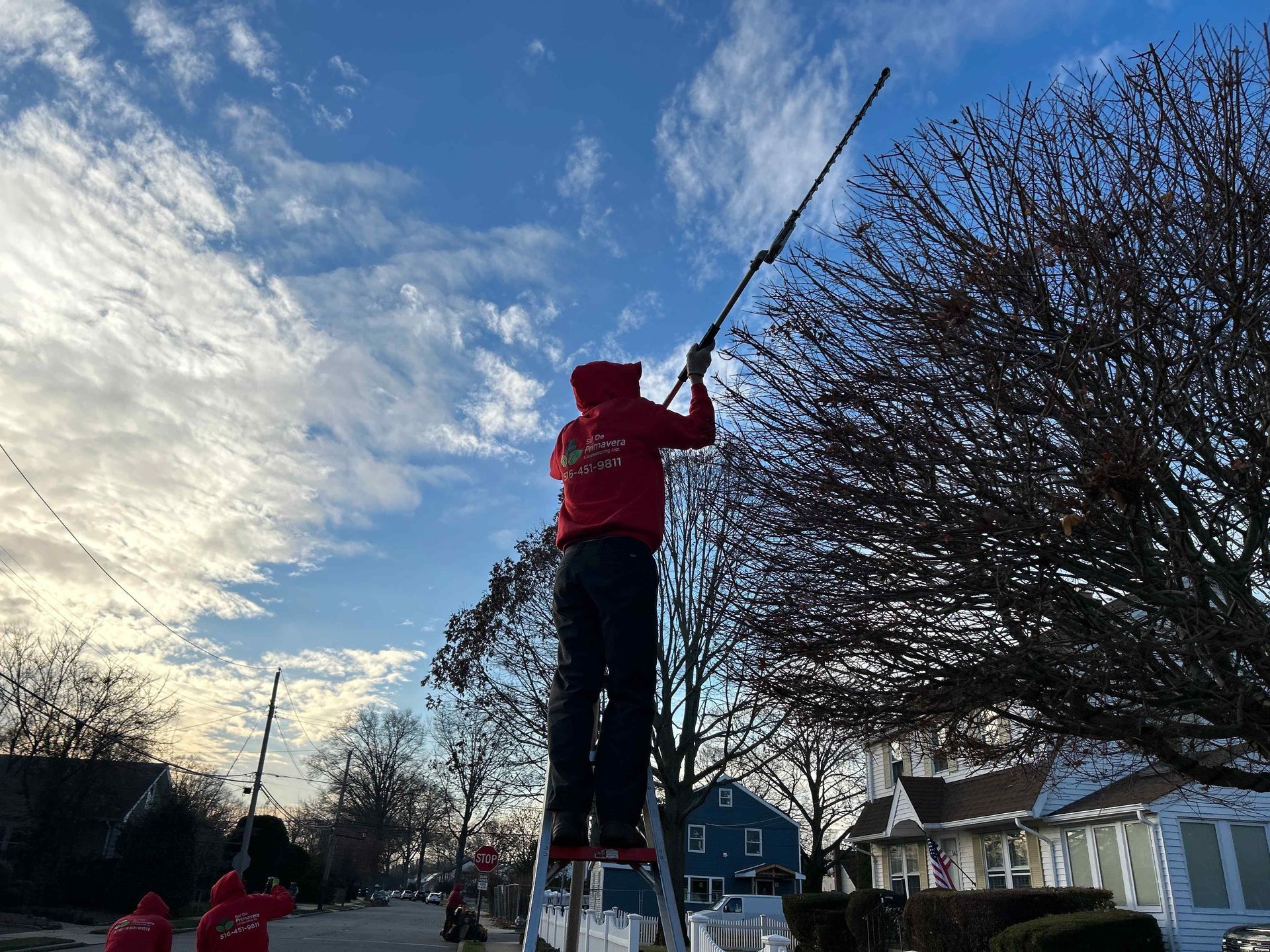 Person in a red jacket standing on a ladder, trimming a large tree against a cloudy sky.