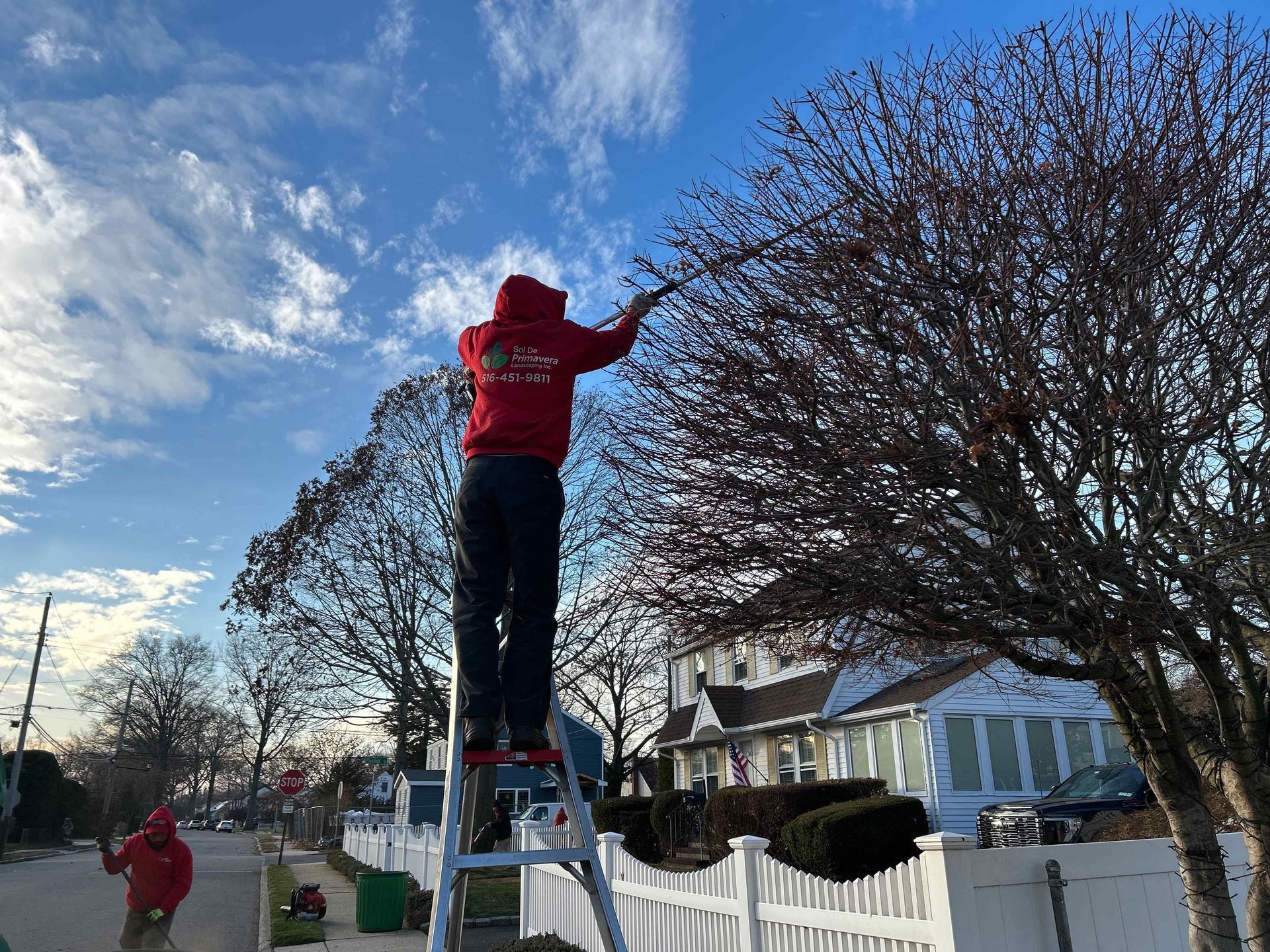 Person in red jacket trimming a tree on a ladder in a suburban yard