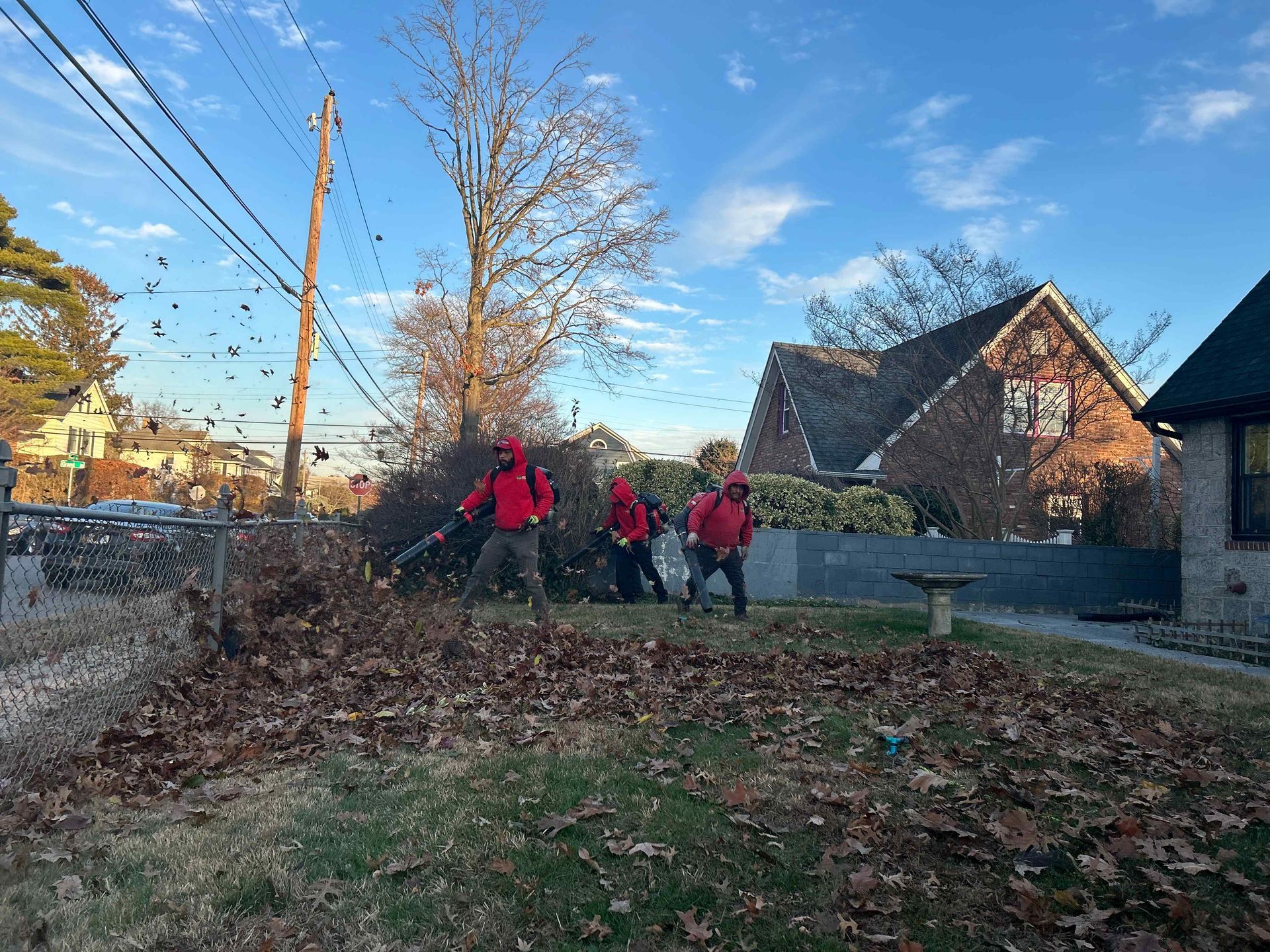 Three people in red jackets walking on a leaf-covered path near houses on a sunny day