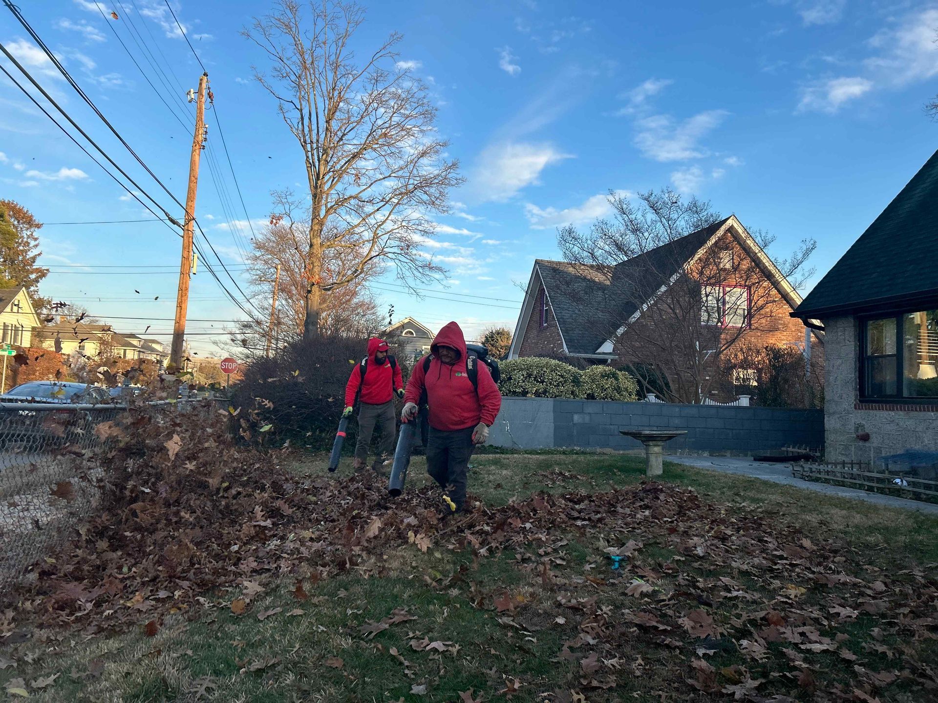 Two people in red jackets walking along a leafy path beside houses on a sunny day