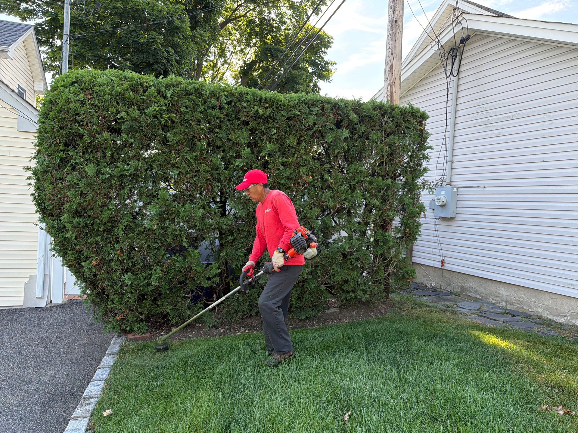 Person trimming a large hedge with a gas-powered trimmer beside a house.