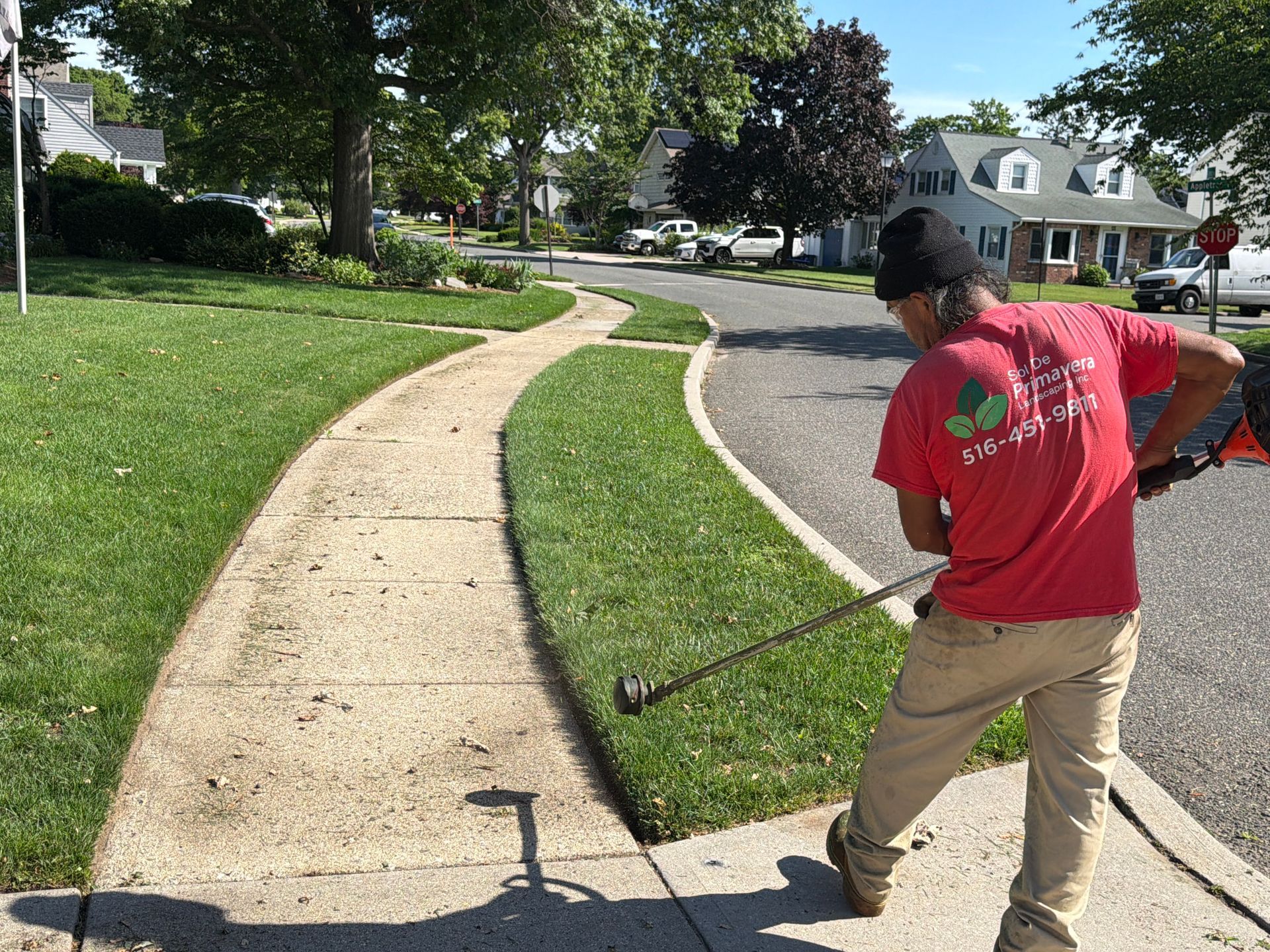 Worker trimming grass along a curved sidewalk in a suburban neighborhood