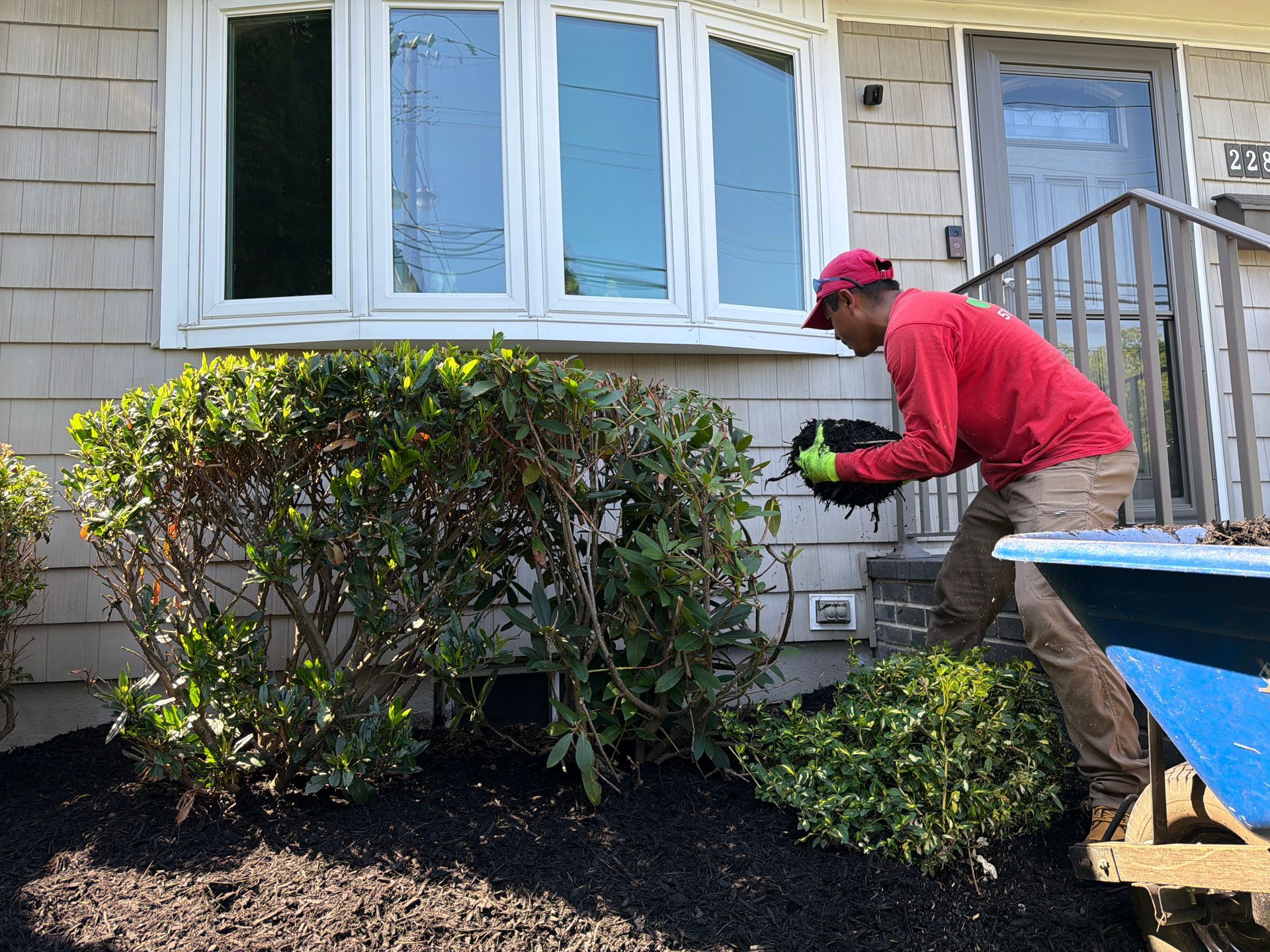 Person trimming bushes beside a house, wearing a red cap and red shirt