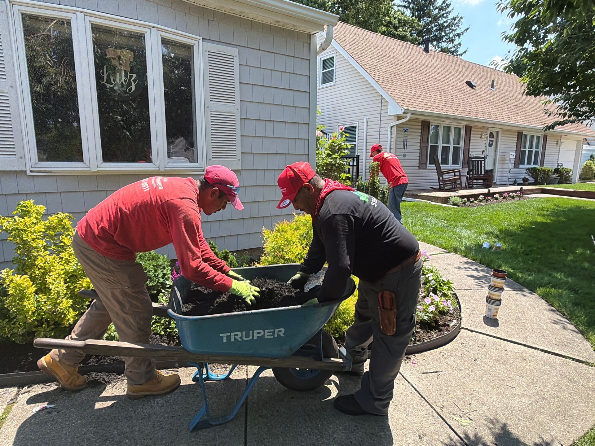 Workers in red uniforms load plants into a wheelbarrow outside a house.