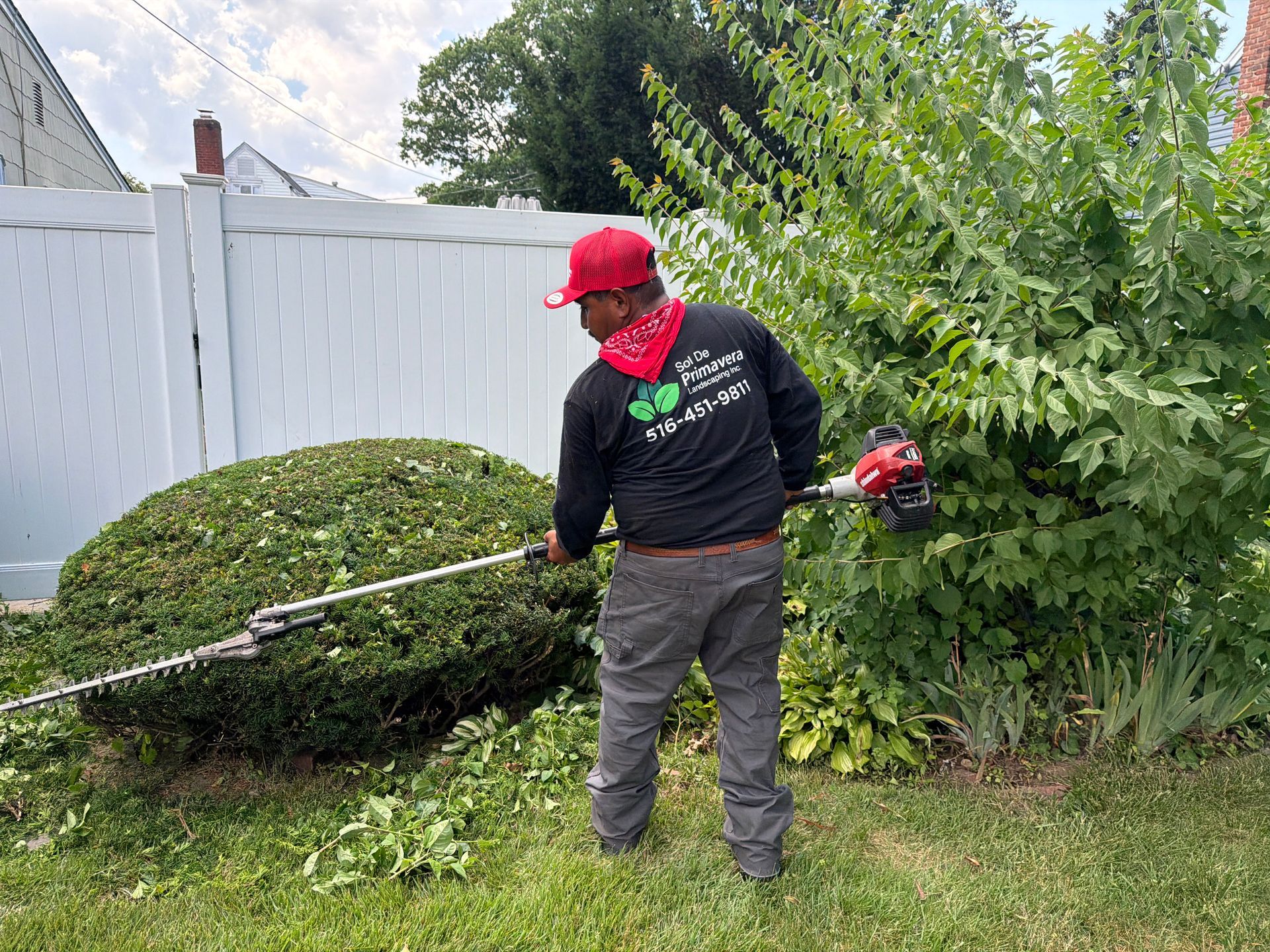 Person trimming a hedge with a string trimmer in a backyard near a white fence.