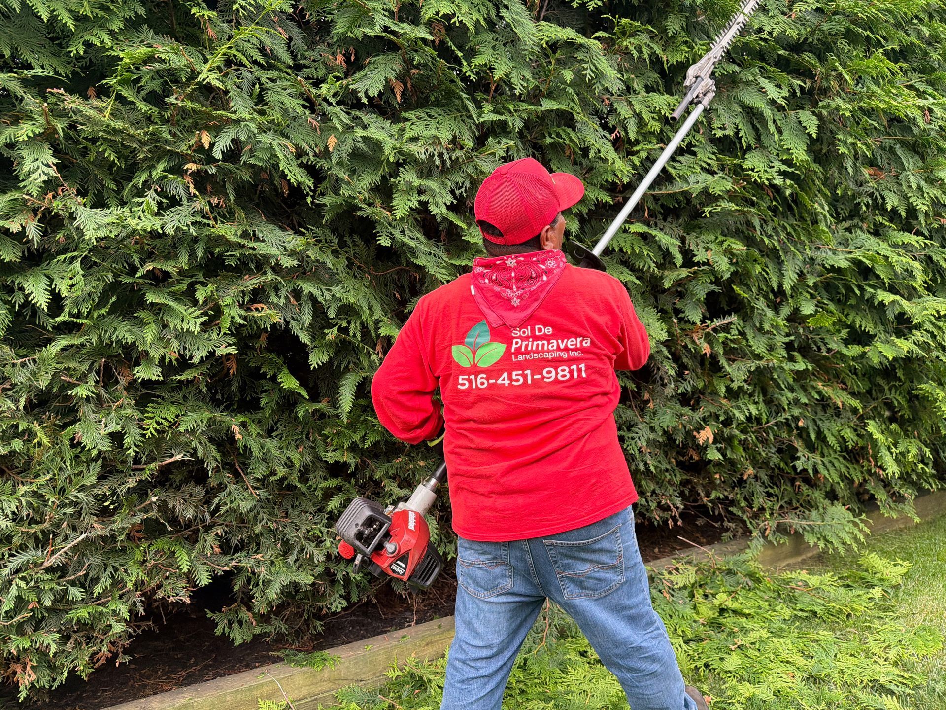Worker in red jacket and cap using a hedge trimmer beside a tall green hedge.